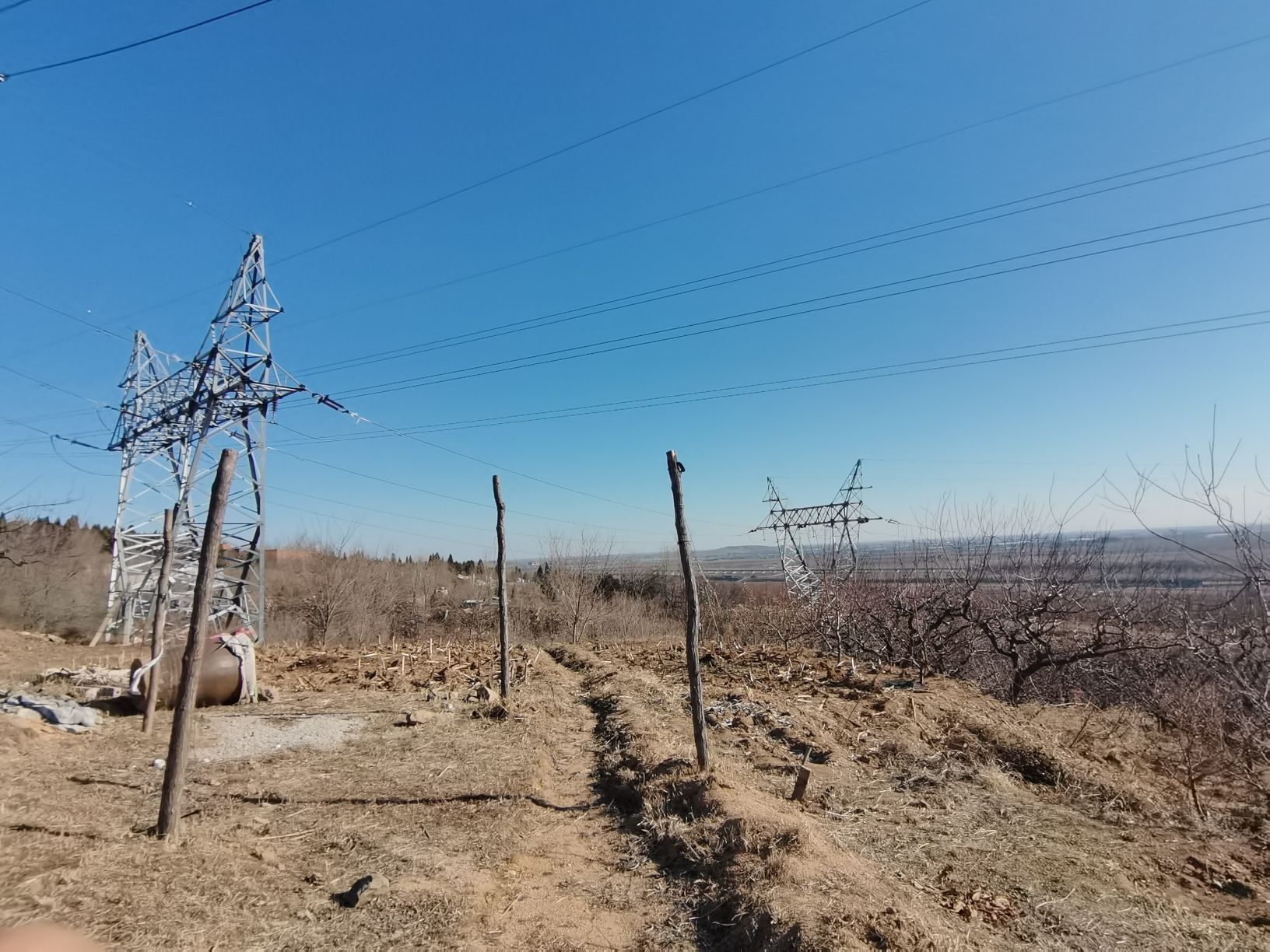 锦州苹果廉政文化广场旅行图片 2