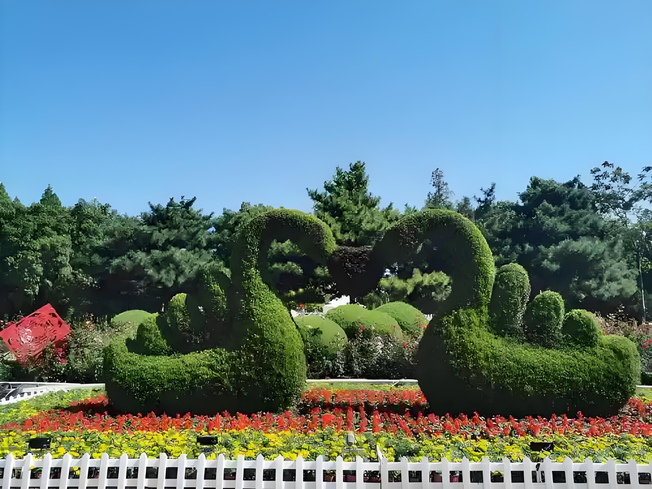 人民公园旅行图片 1