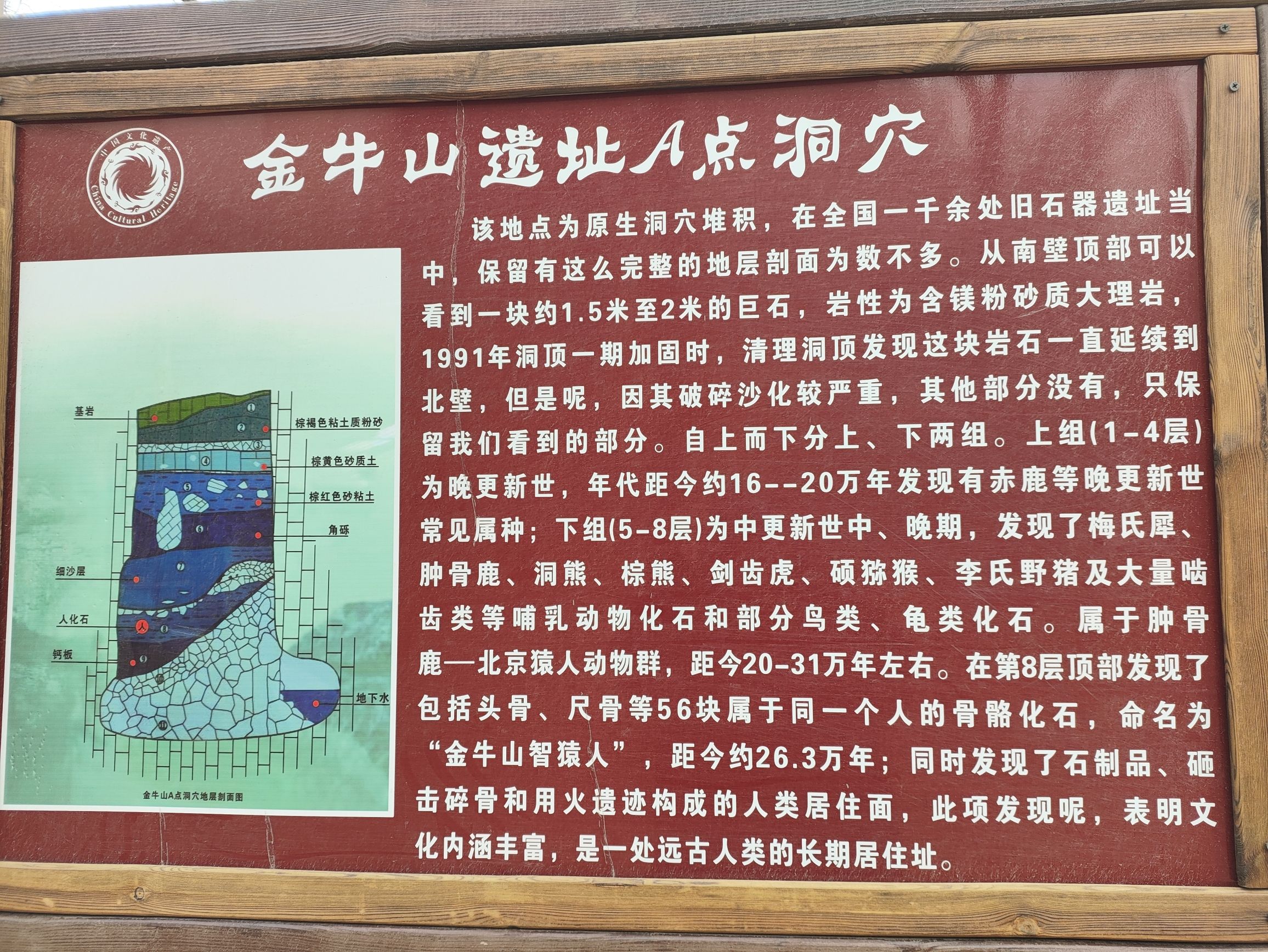 金牛山遗址旅行图片 3