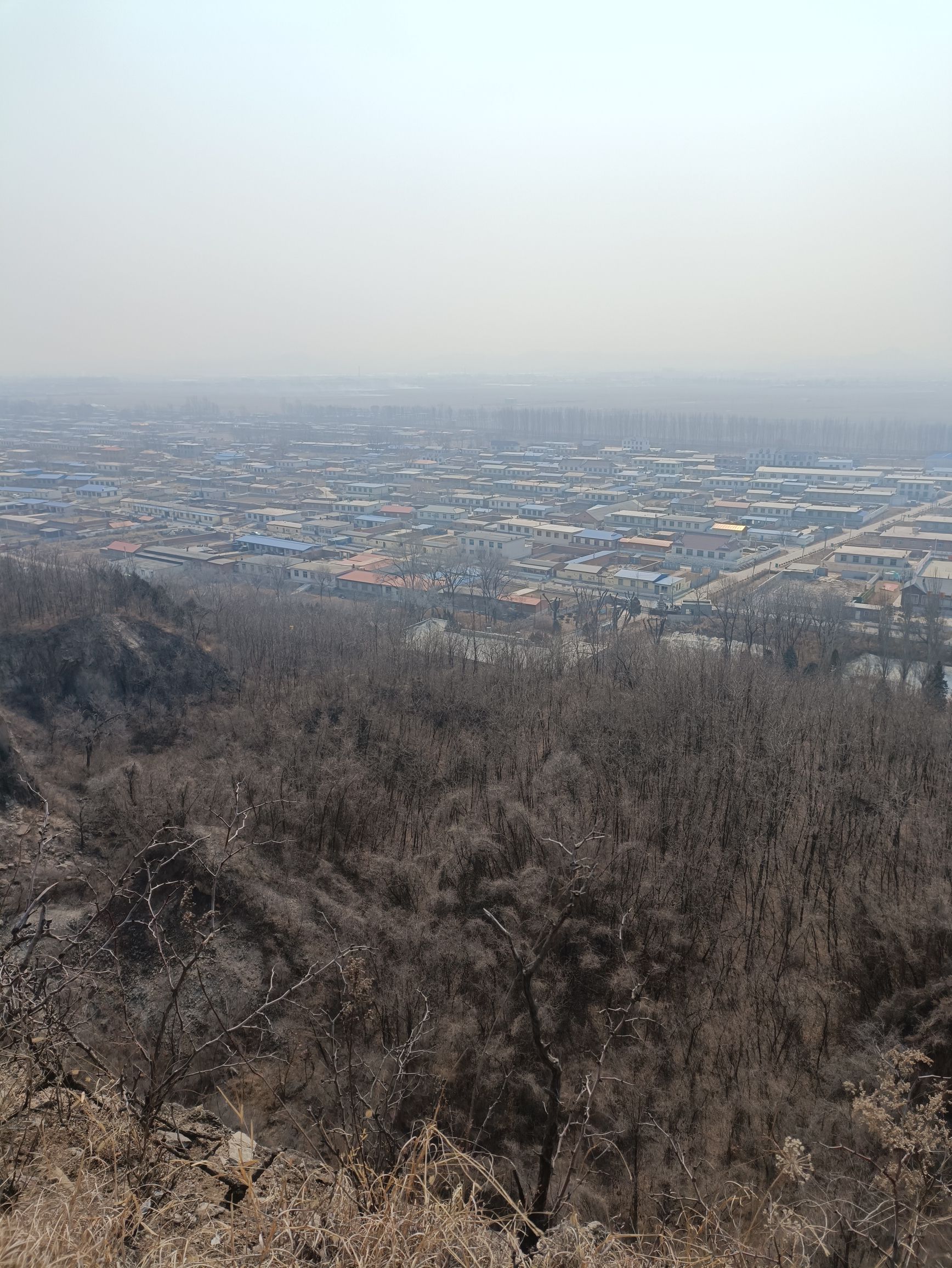 金牛山遗址旅行图片 2