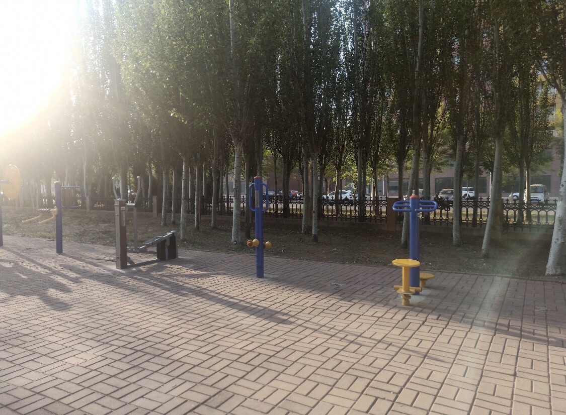 森林公园旅行图片 2