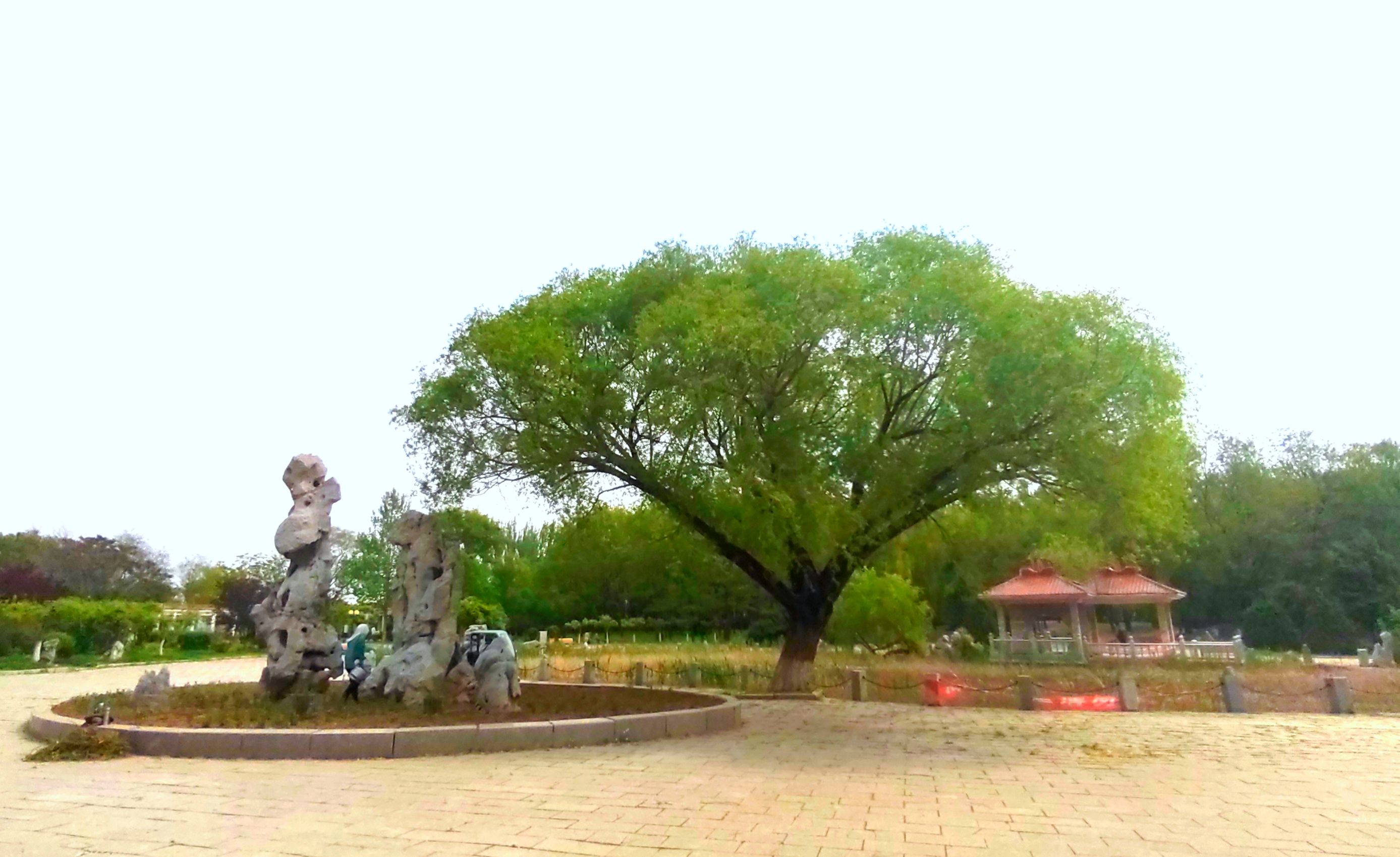 营口植物园旅行图片 3