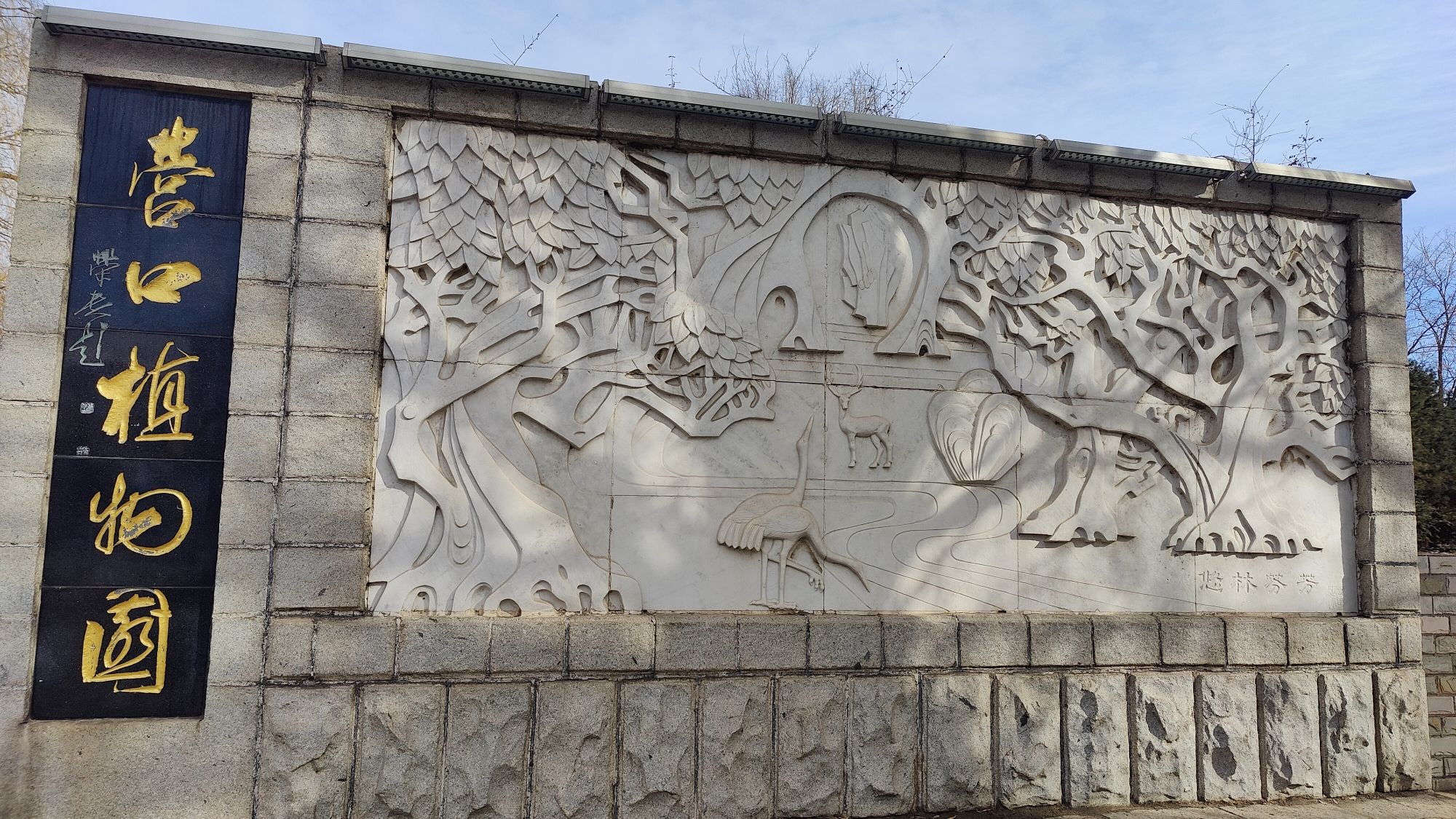 营口植物园旅行图片 1
