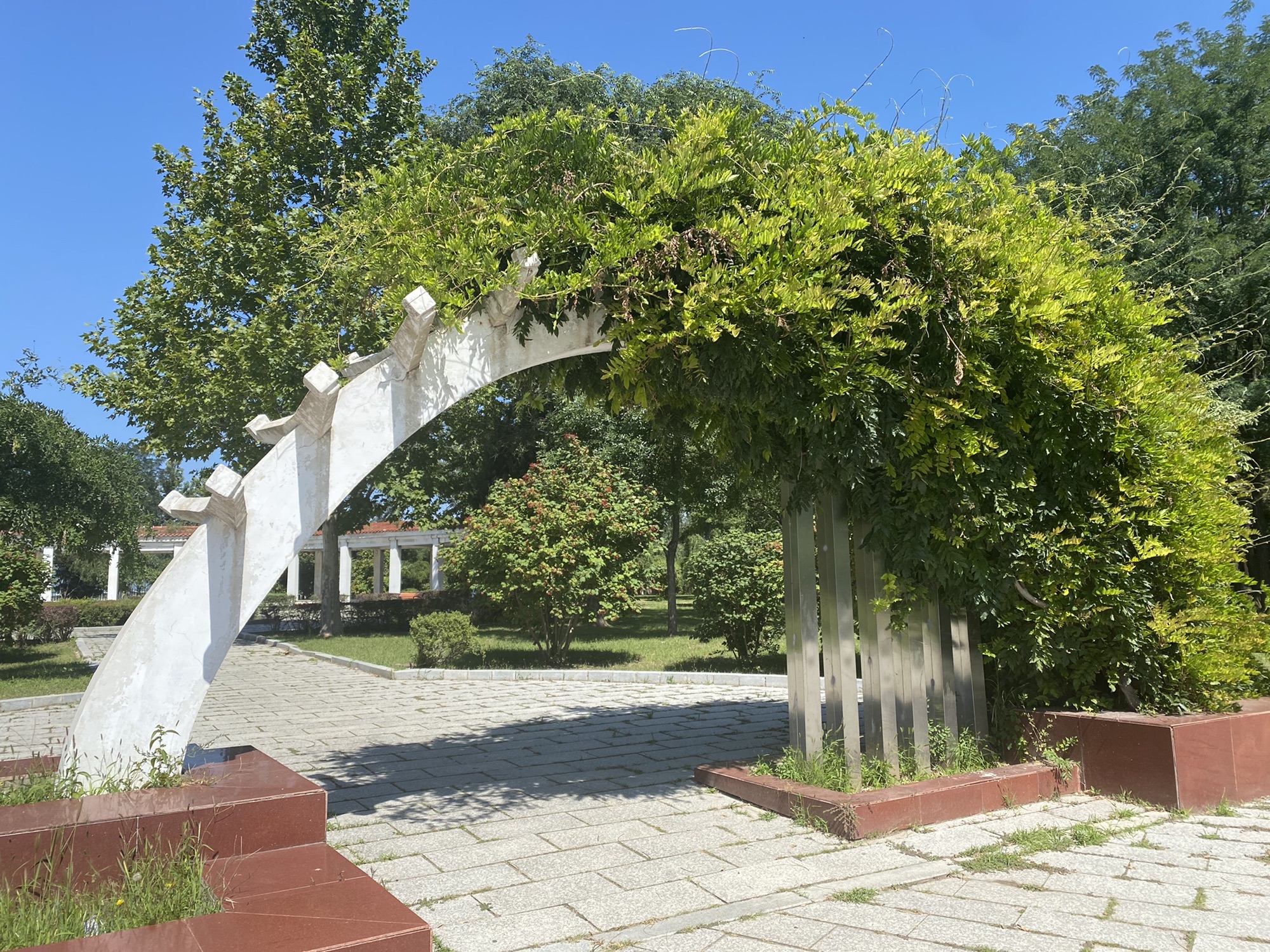 营口植物园旅行图片 1