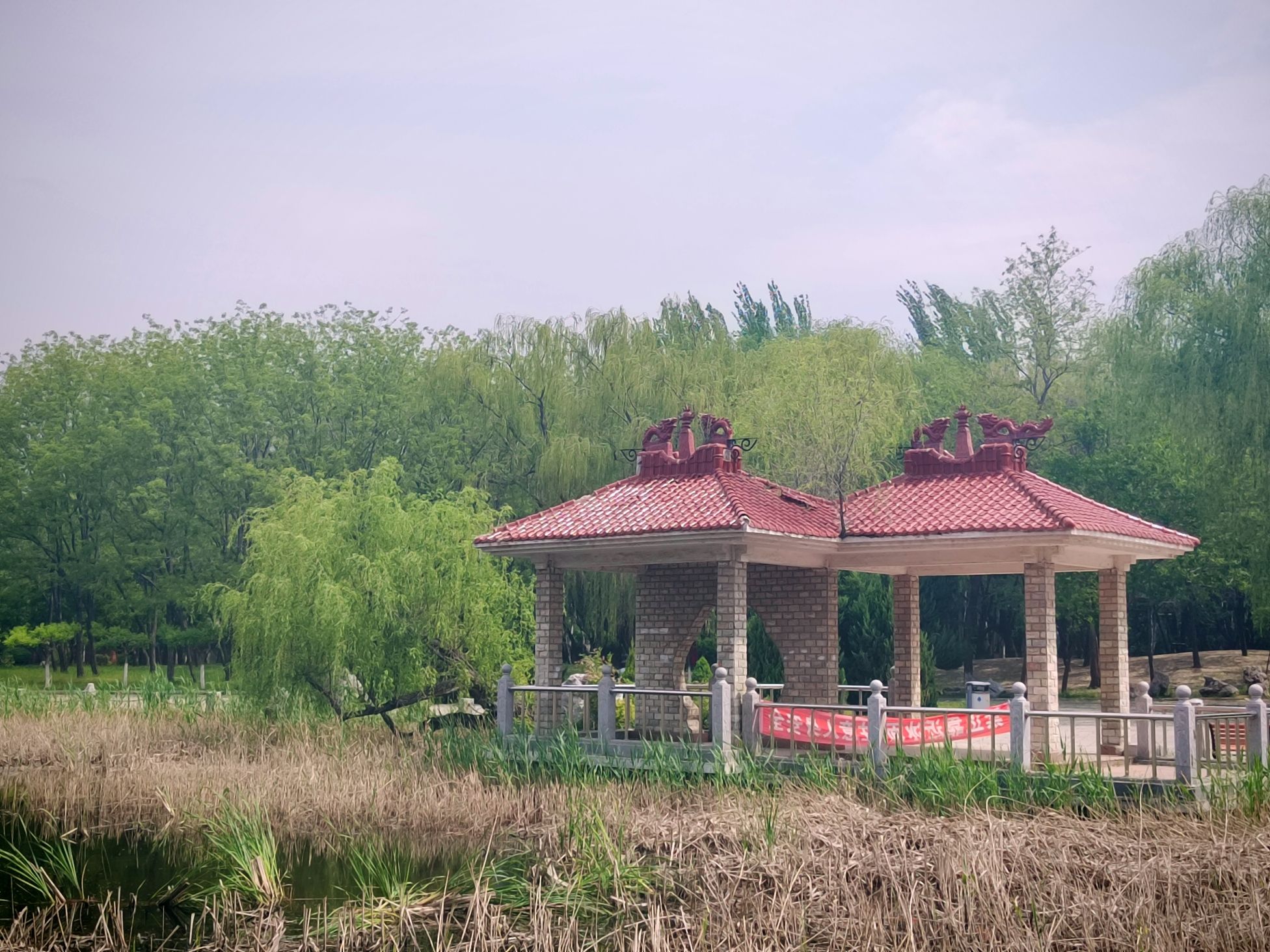 营口植物园旅行图片 2