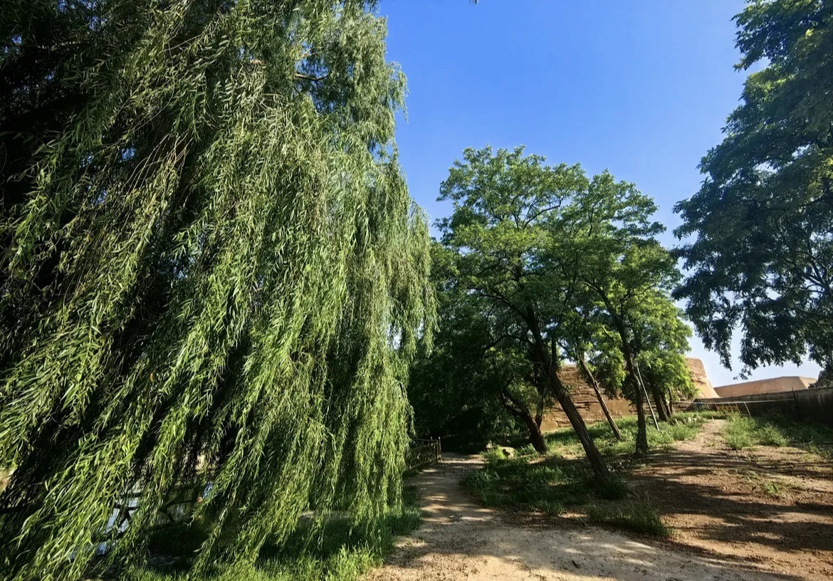 西炮台公园旅行图片 2