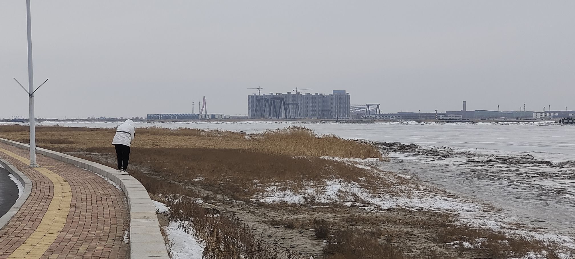 辽河公园旅行图片 3