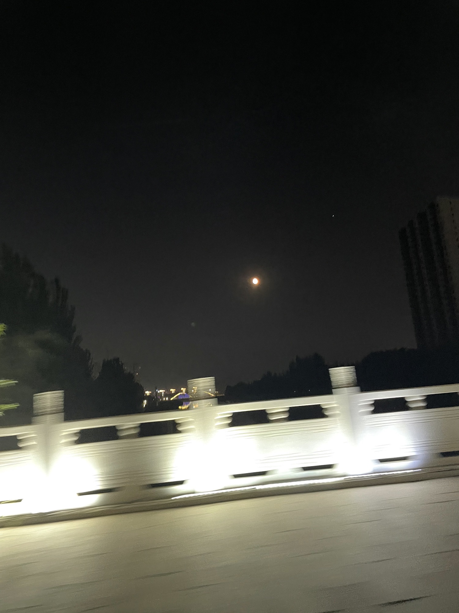 镜湖公园旅行图片 1