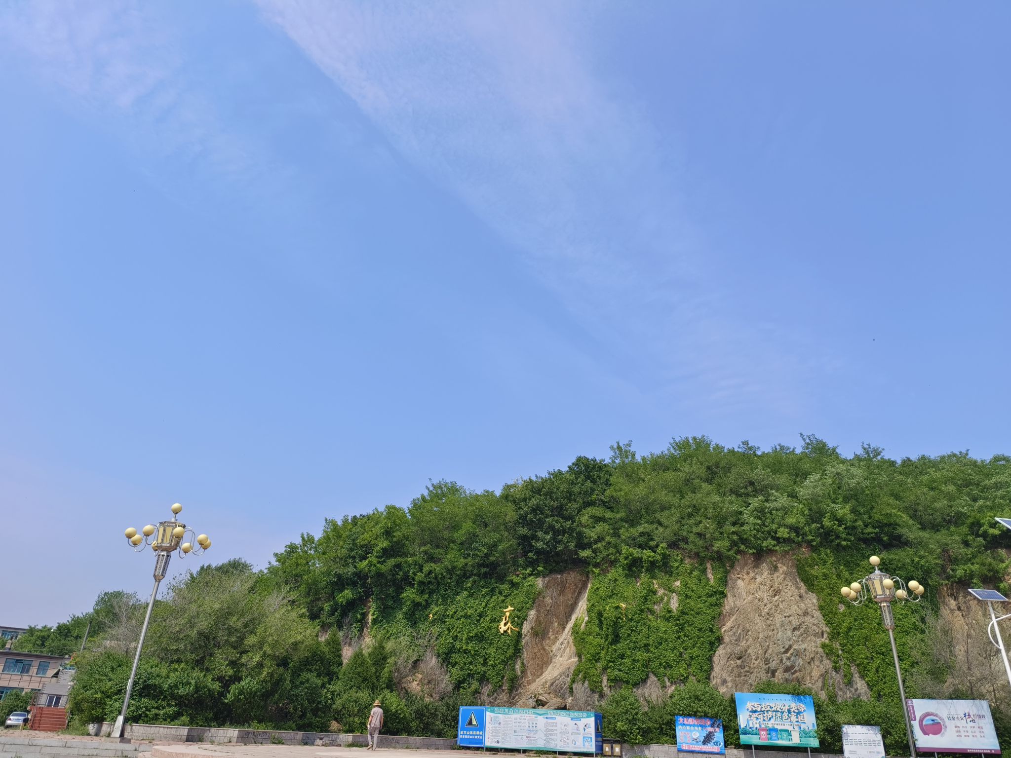 绣龙森林公园旅行图片 1