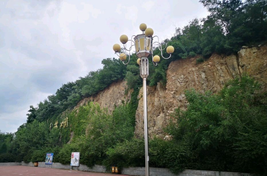绣龙森林公园旅行图片 1