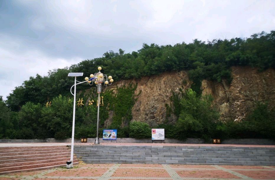 绣龙森林公园旅行图片 2