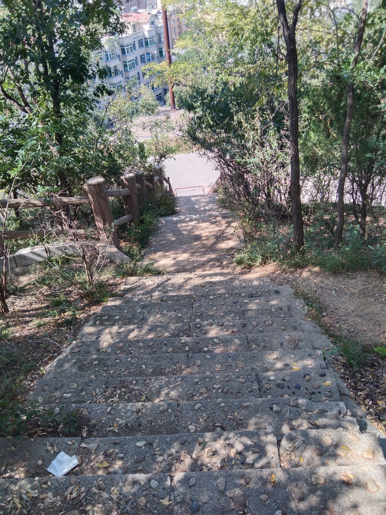 绣龙森林公园旅行图片 3