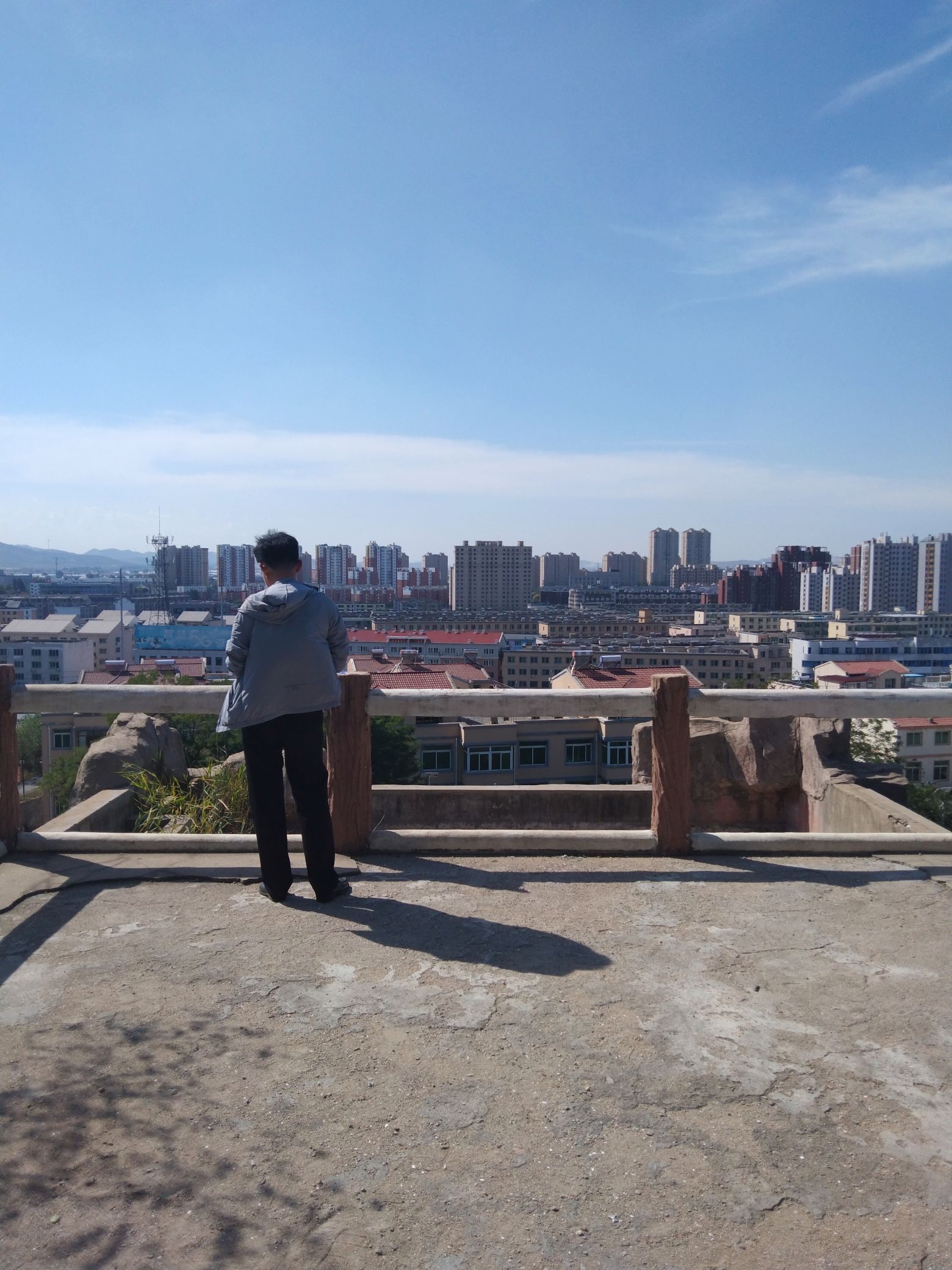 绣龙森林公园旅行图片 1