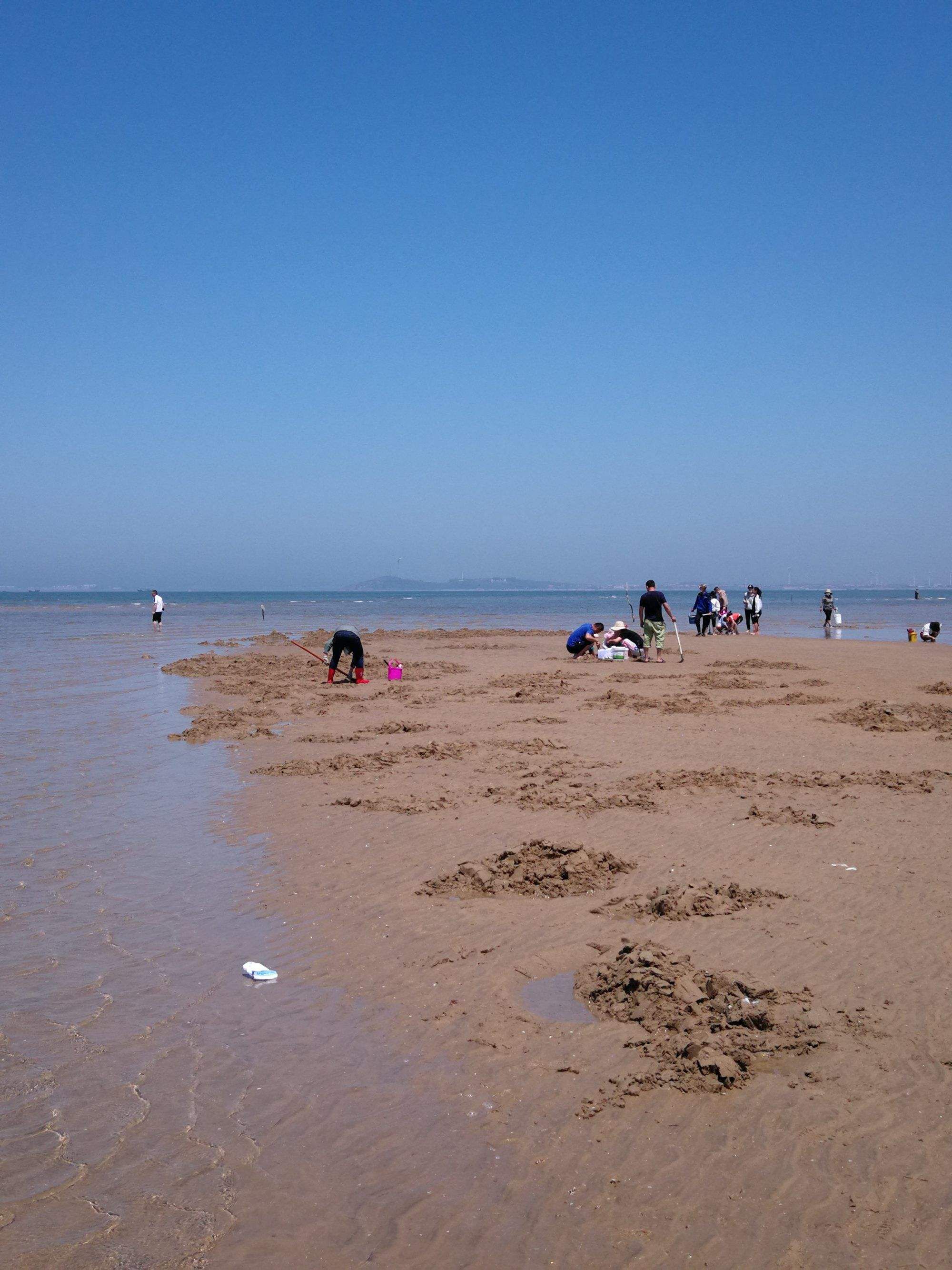 白沙湾黄金海岸旅行图片 2