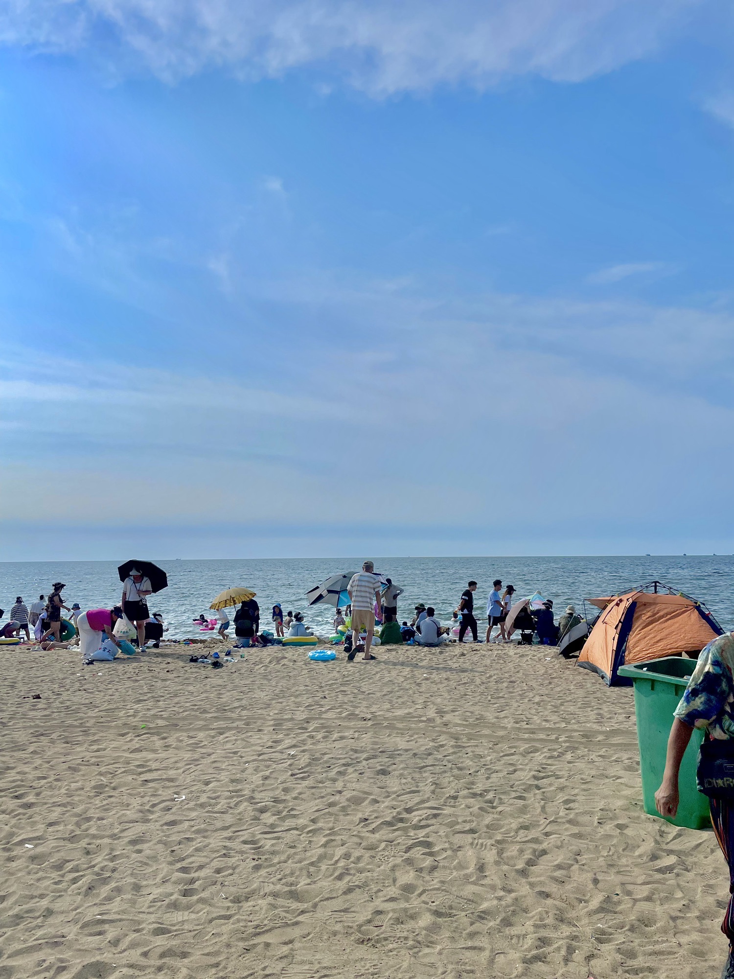 白沙湾黄金海岸旅行图片 1