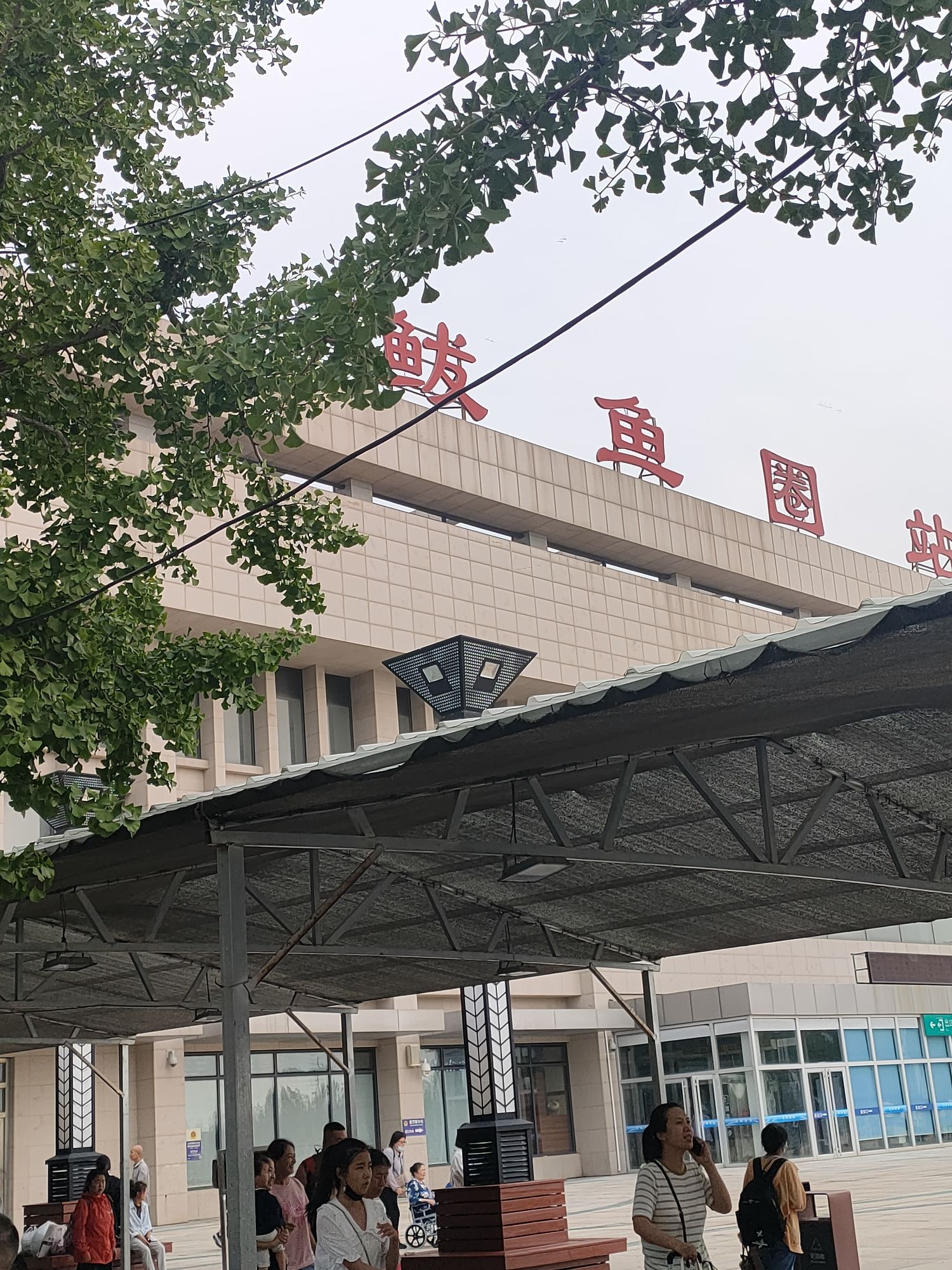 白沙湾黄金海岸旅行图片 3