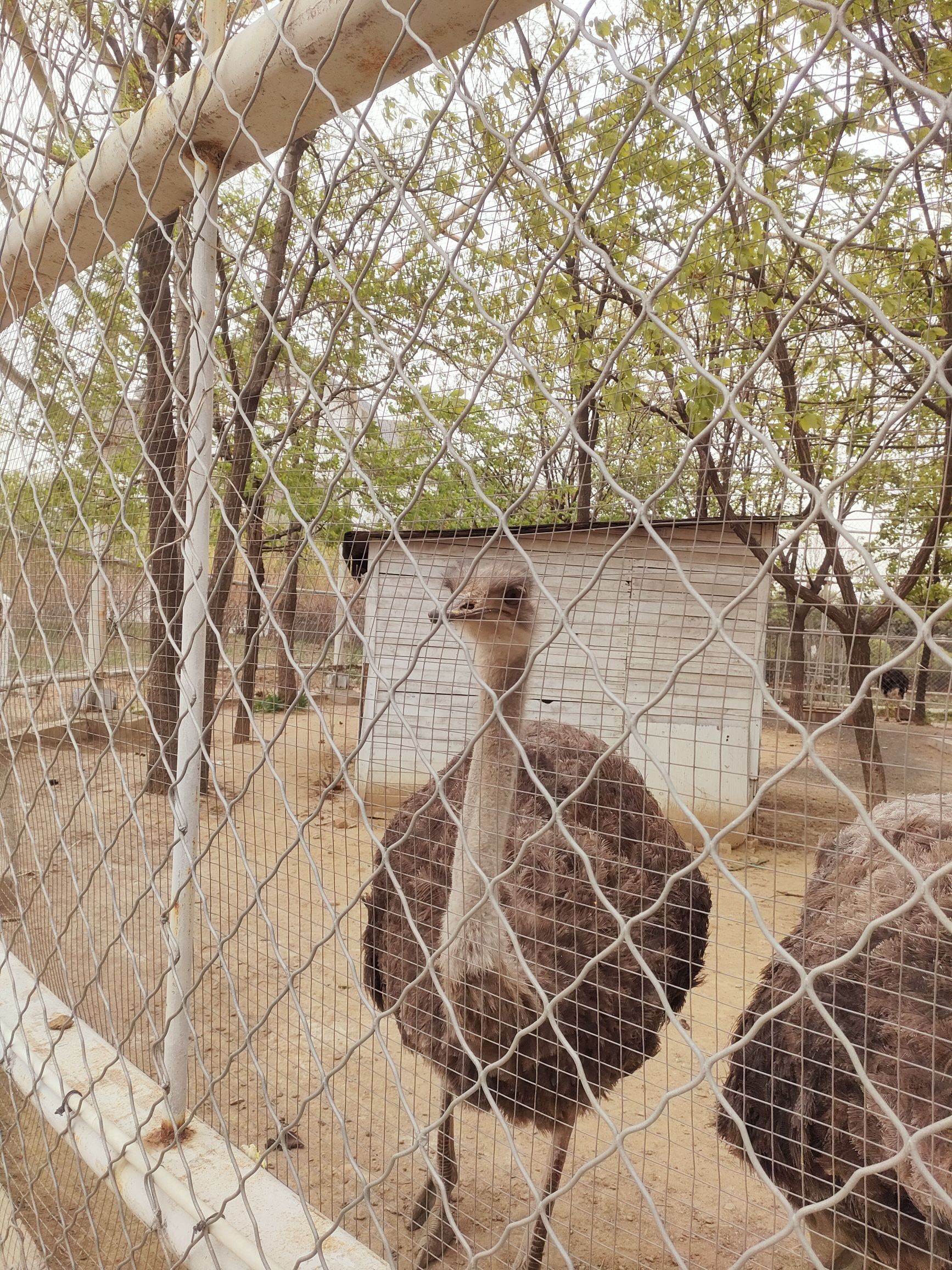 熊岳植物园旅行图片 2