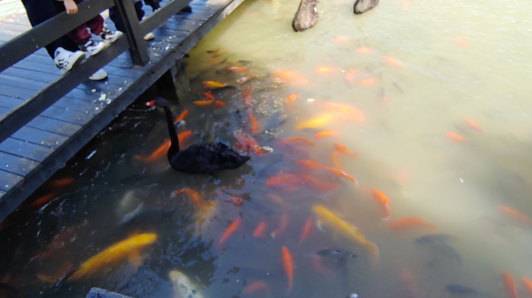 熊岳植物园旅行图片 3
