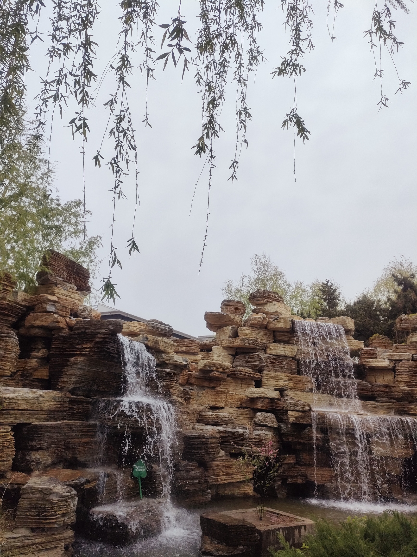 熊岳植物园旅行图片 3
