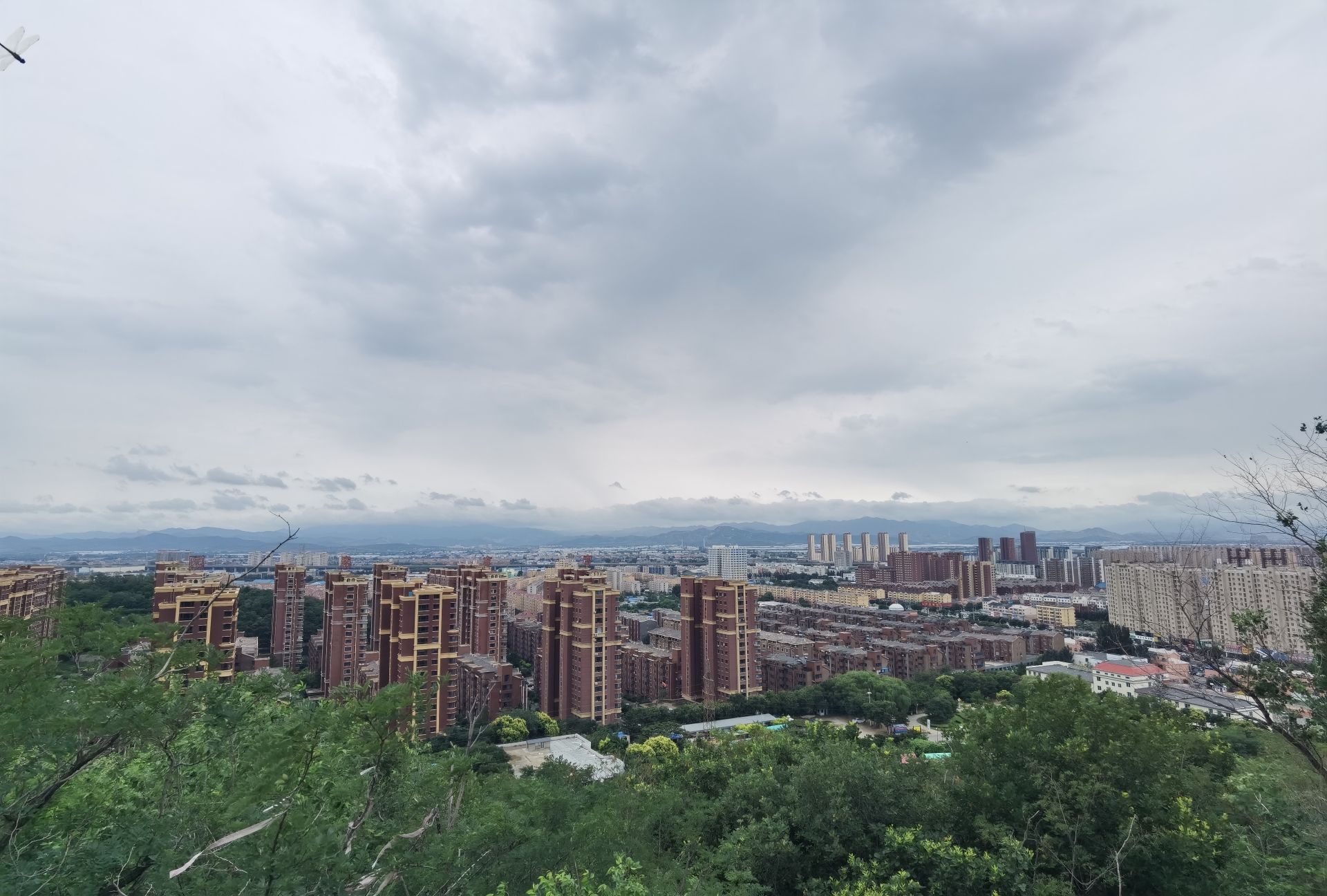 青龙山公园旅行图片 3