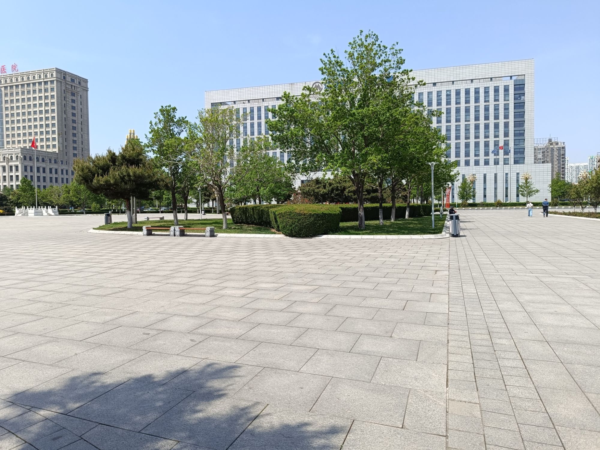 鲅鱼圈世纪广场旅行图片 3