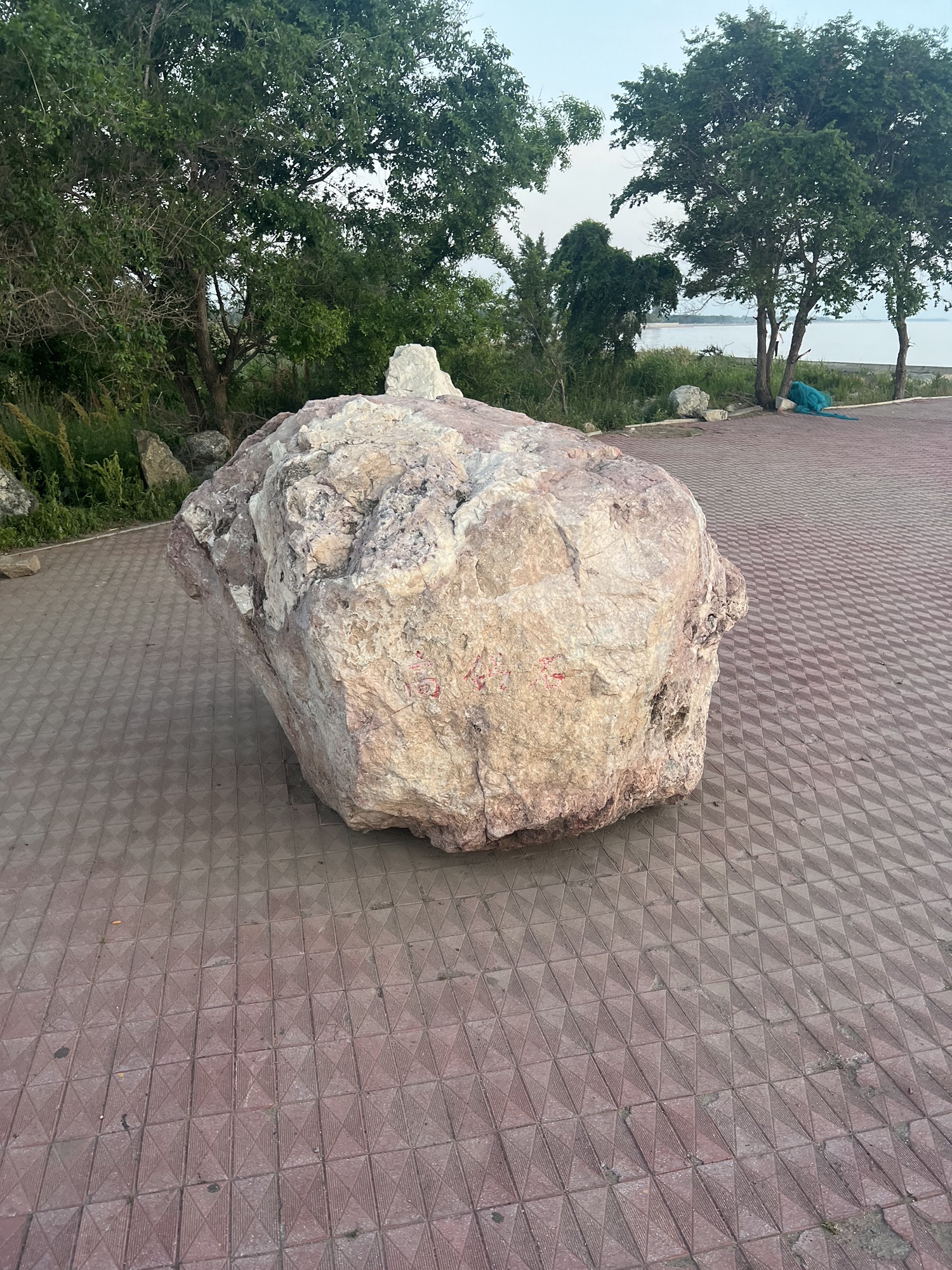 大辽河入海口旅行图片 1