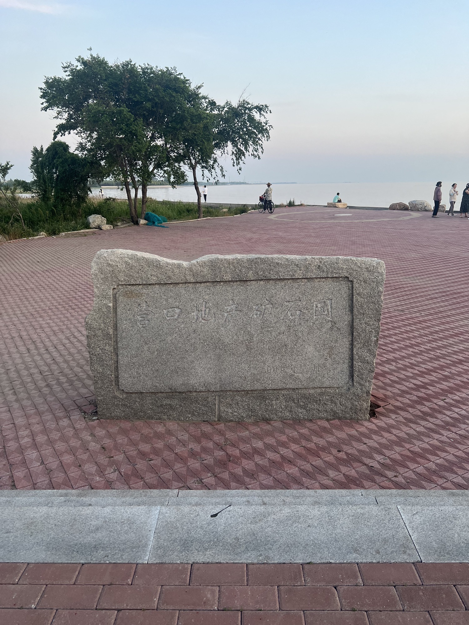 大辽河入海口旅行图片 2