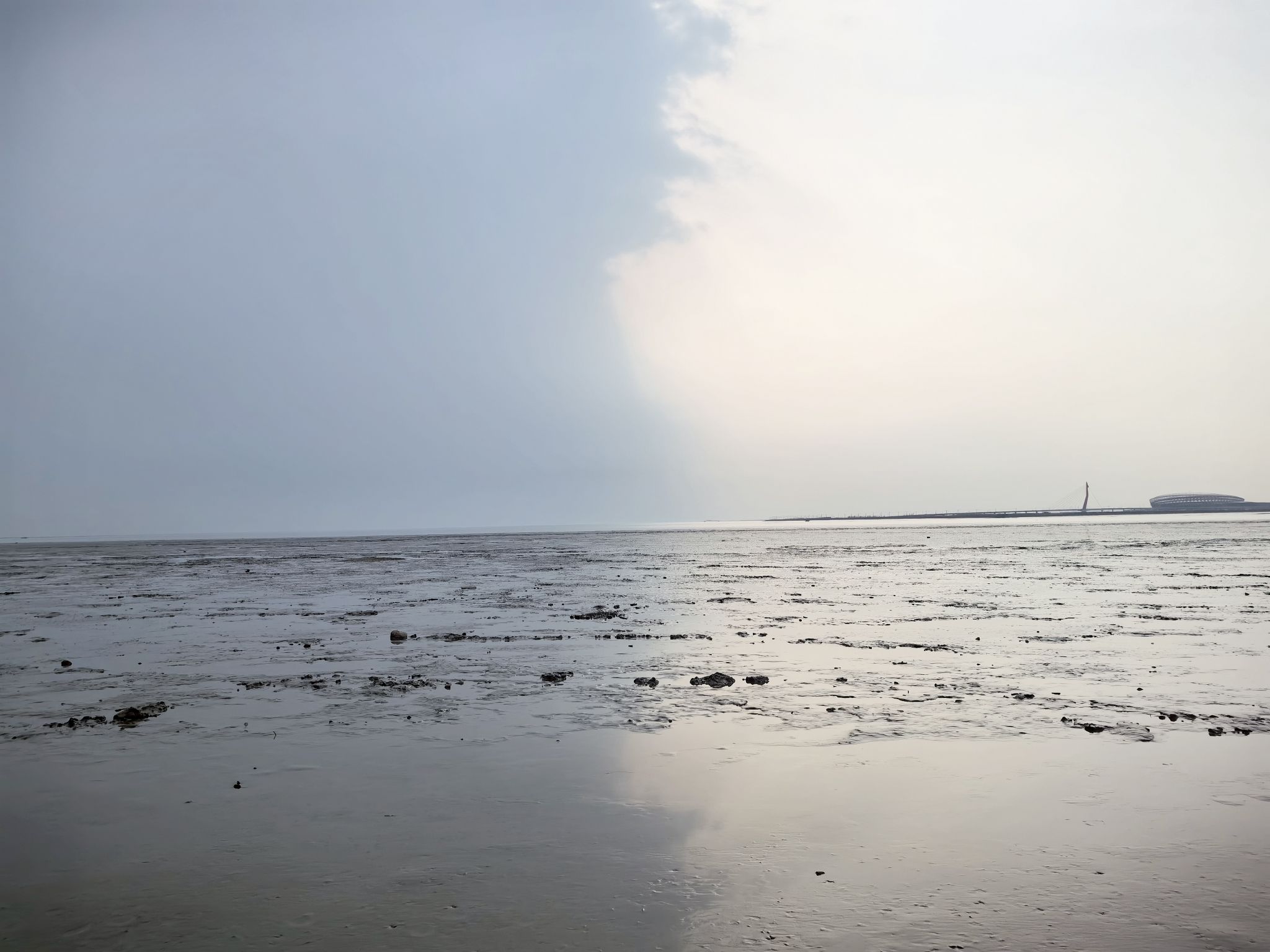大辽河入海口旅行图片 1