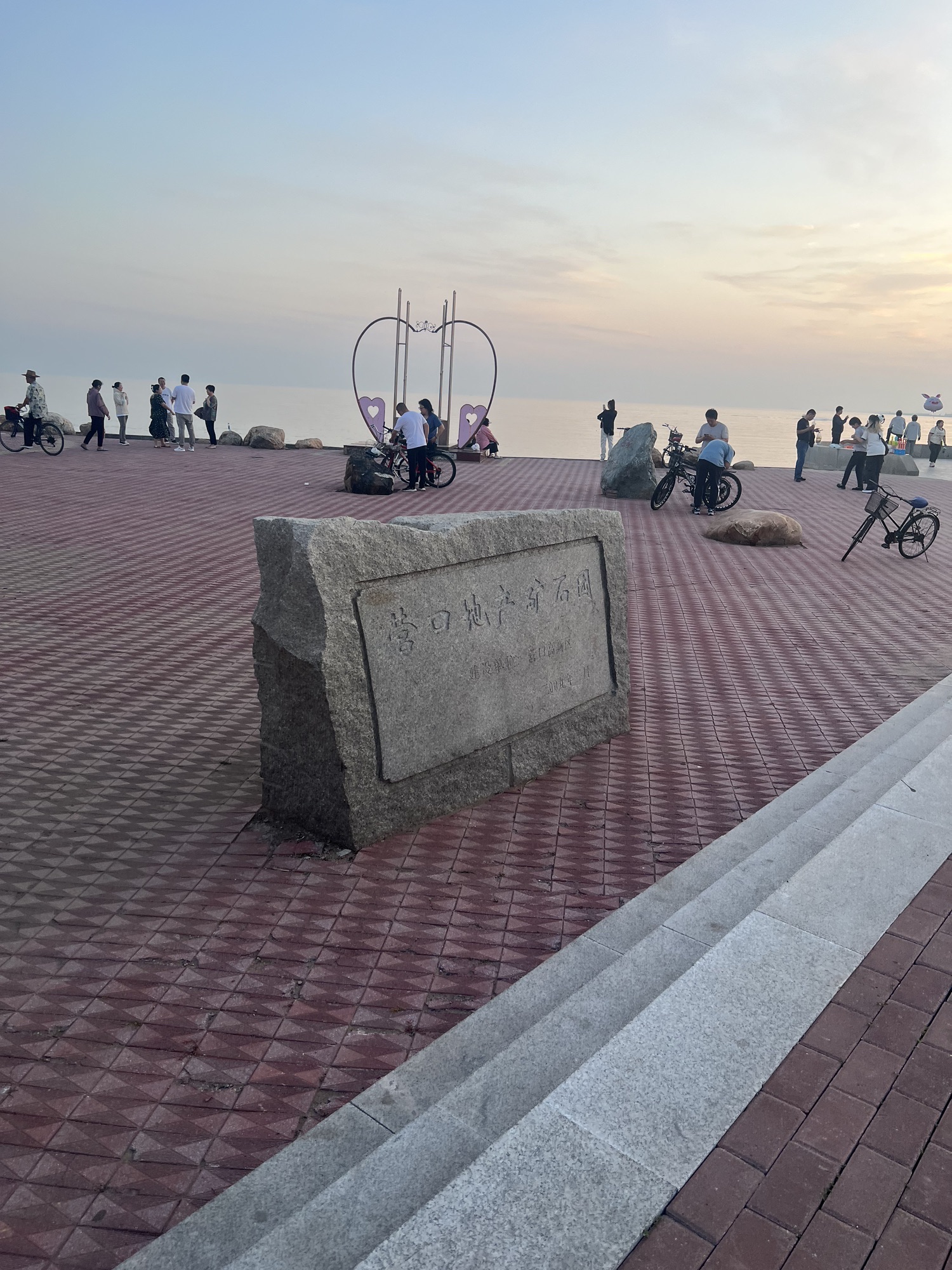 大辽河入海口旅行图片 3