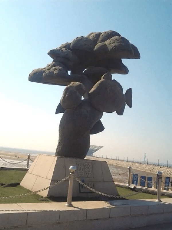 海螺广场旅行图片 2