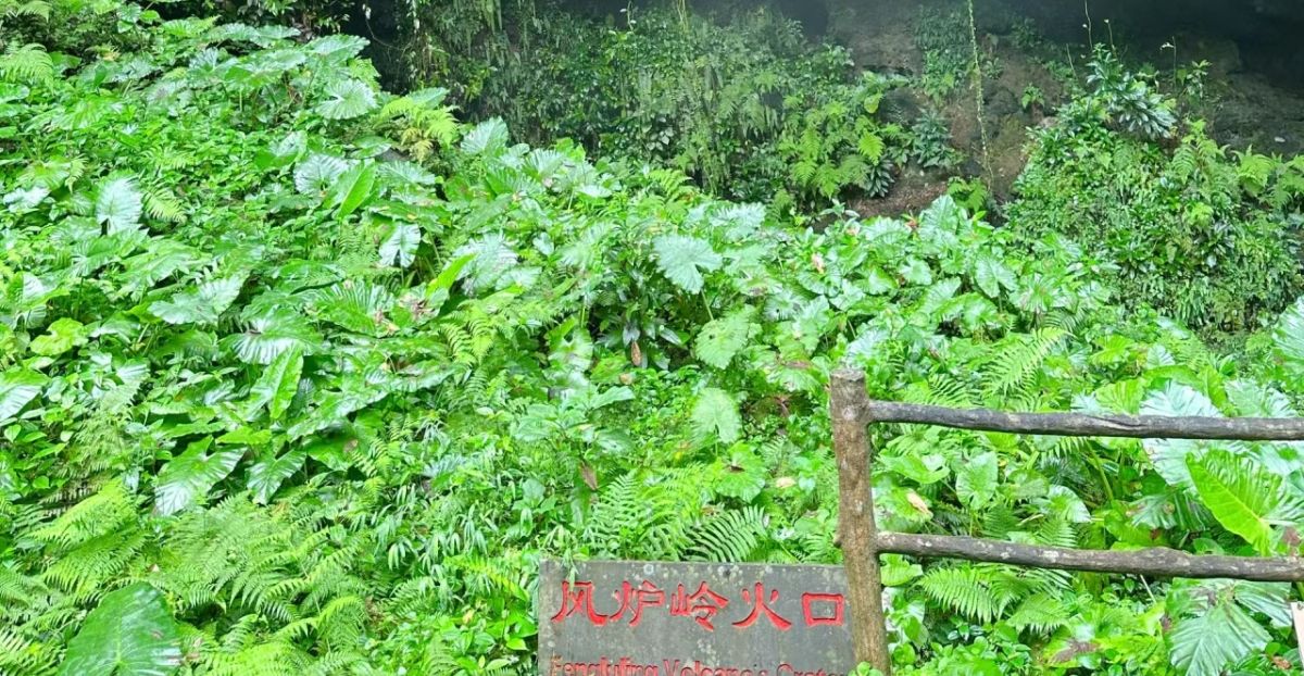 火山公园旅行图片 3