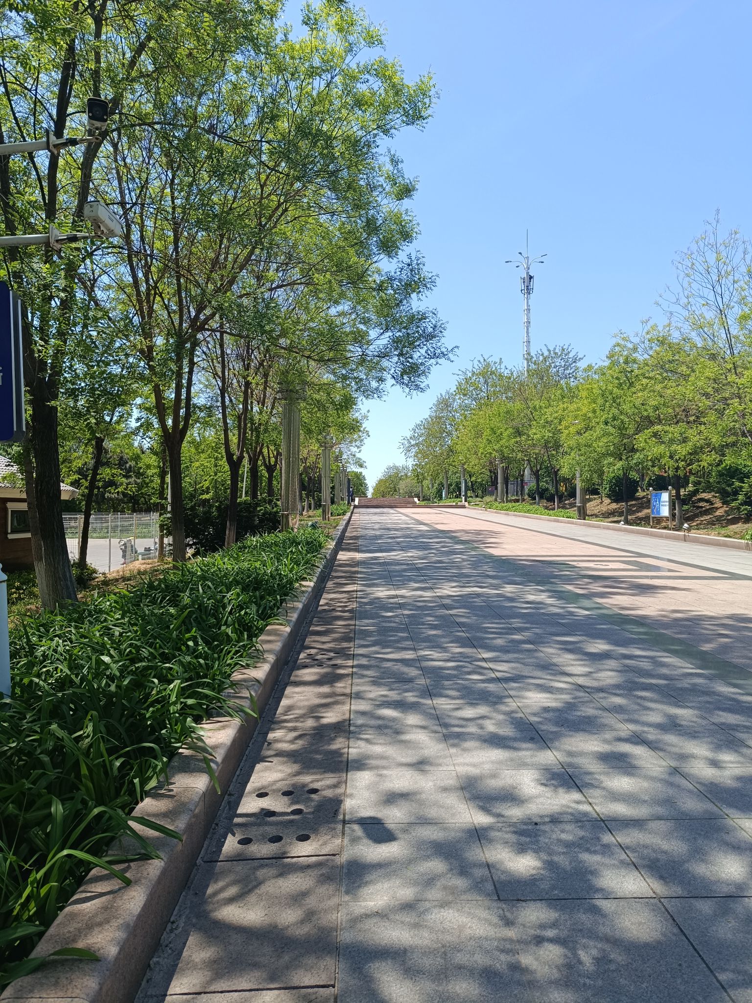 碧霞山公园旅行图片 1