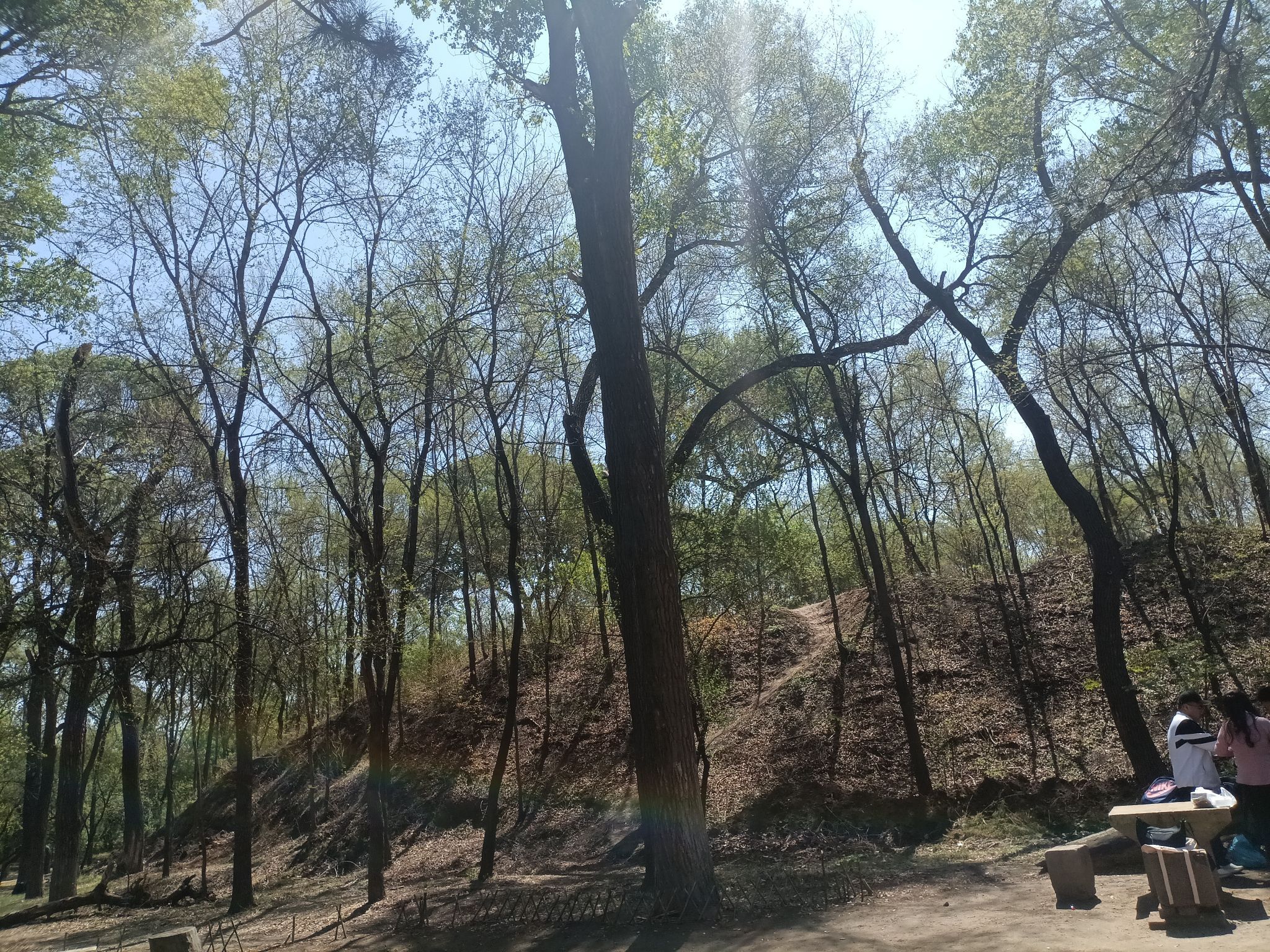 三一八公园旅行图片 1