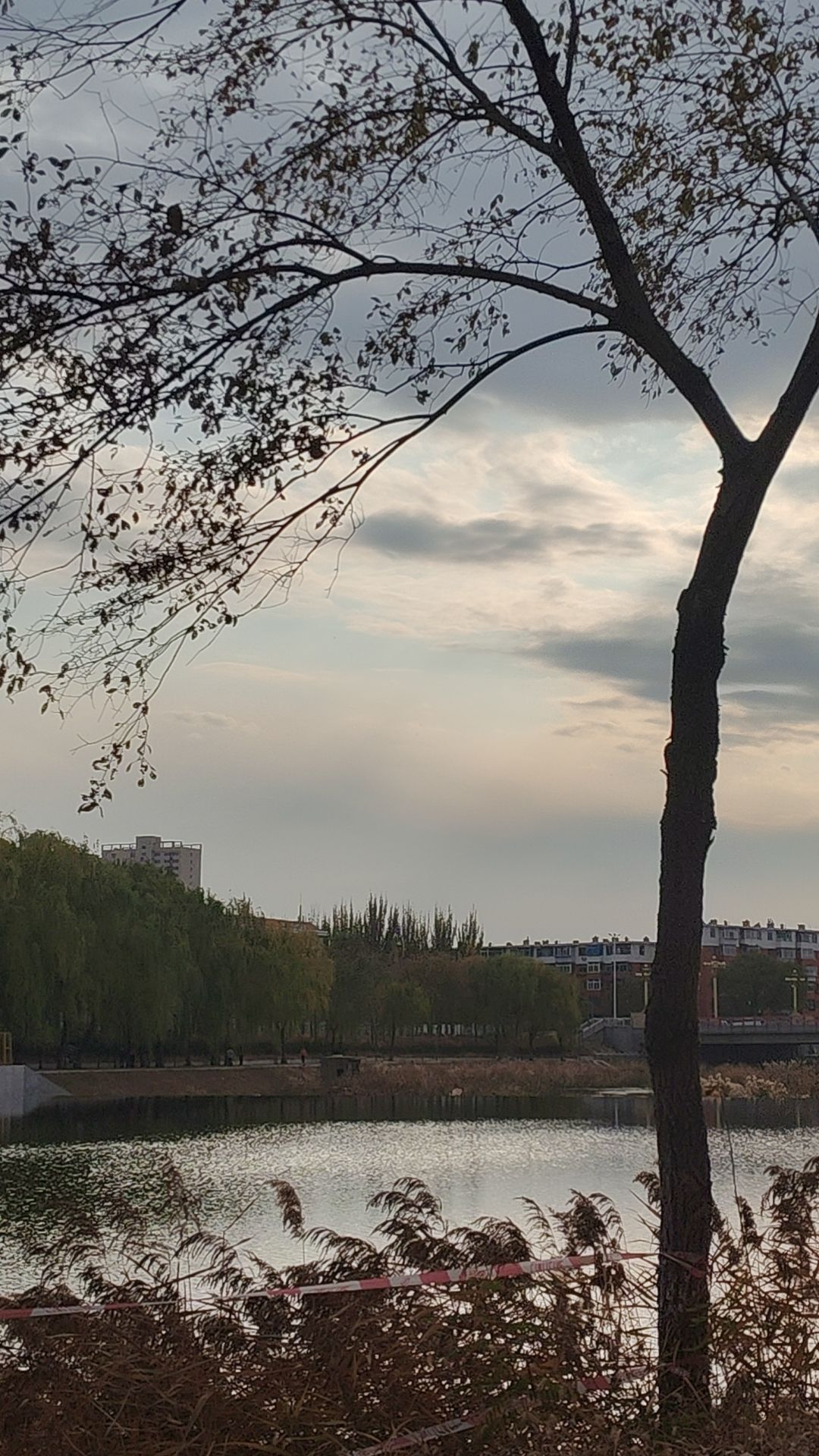 三一八公园旅行图片 2
