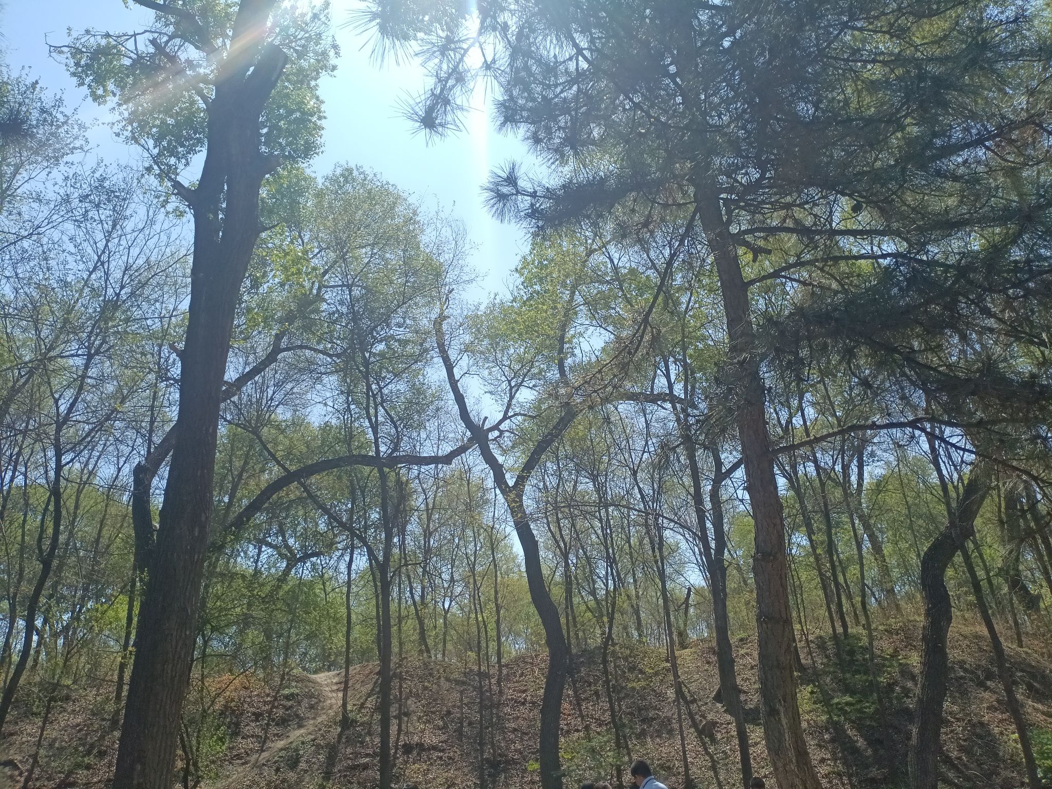 三一八公园旅行图片 3