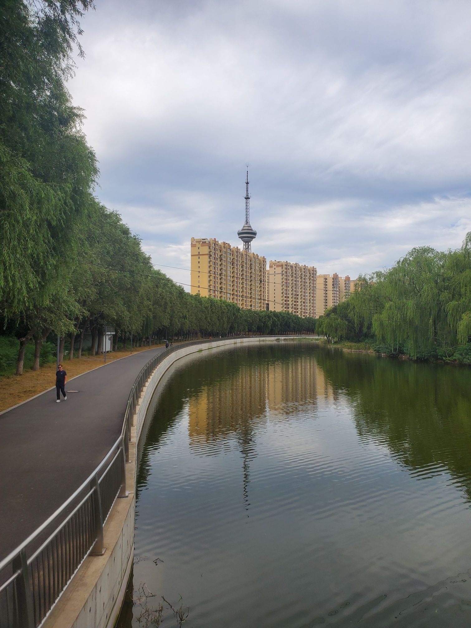 三一八公园旅行图片 2