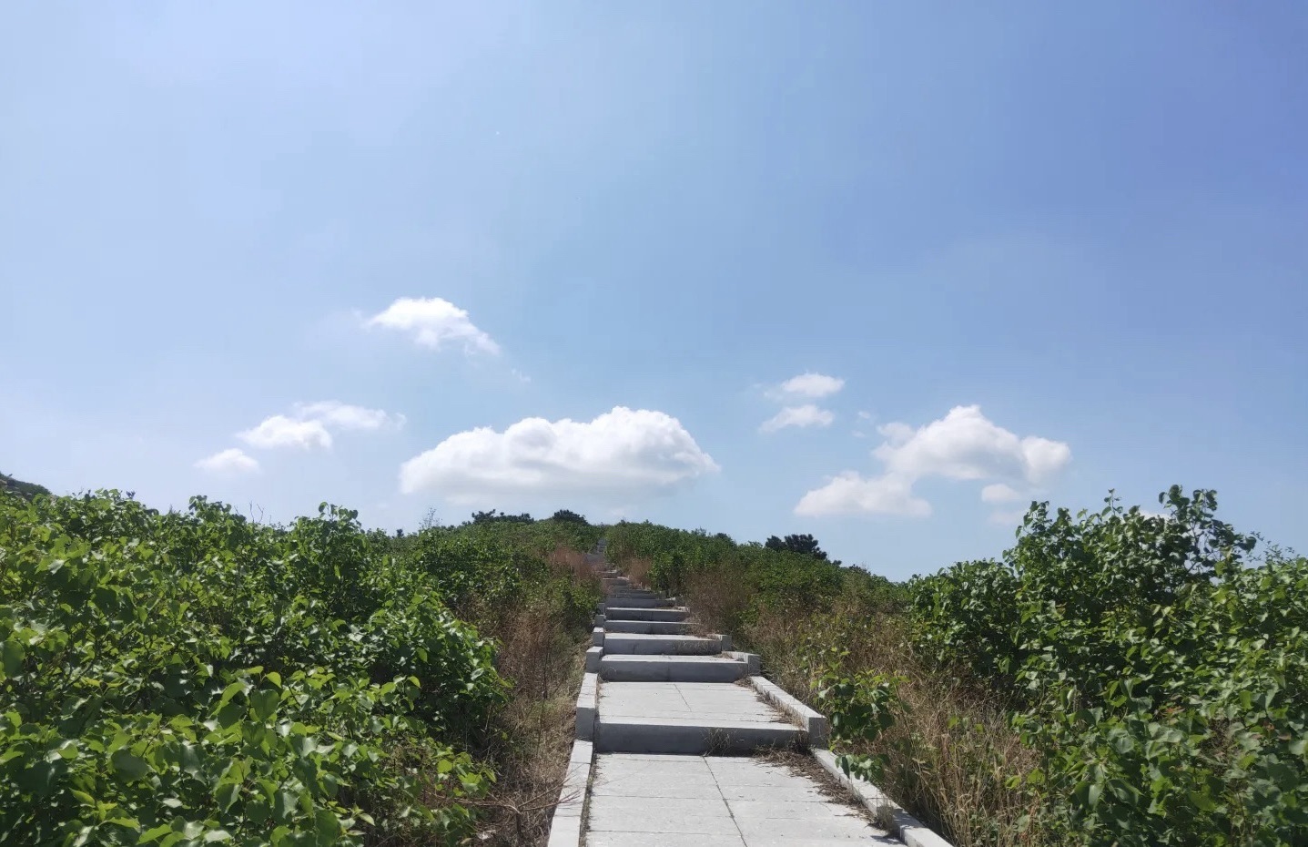 七家子水库旅行图片 1