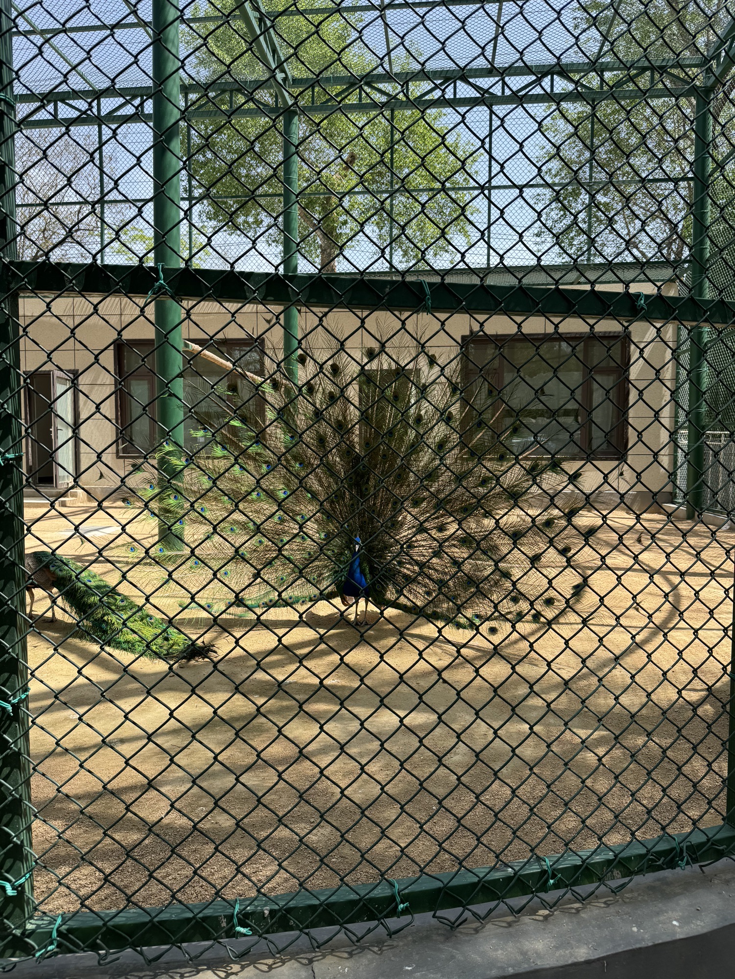 人民公园旅行图片 3