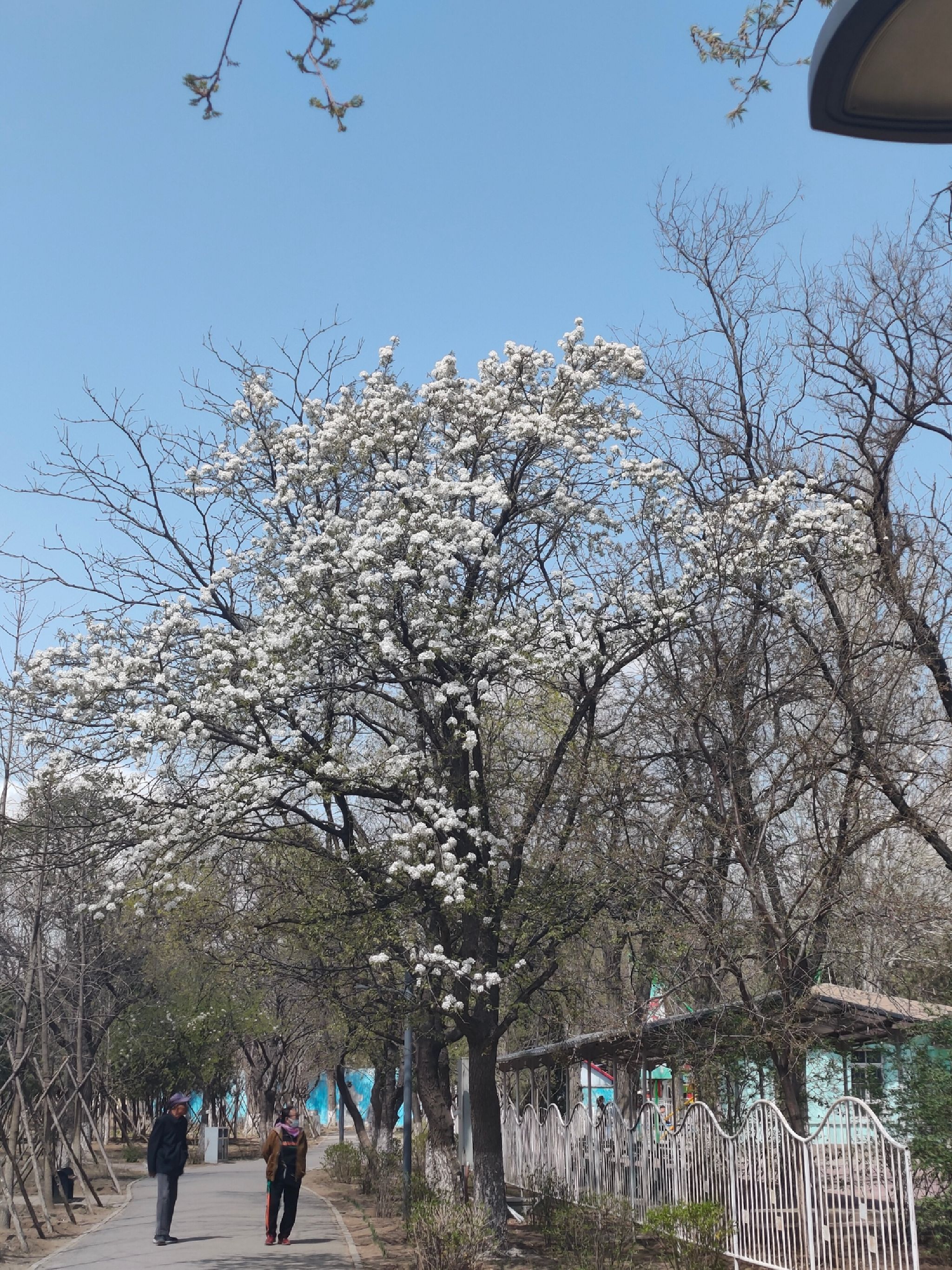 人民公园