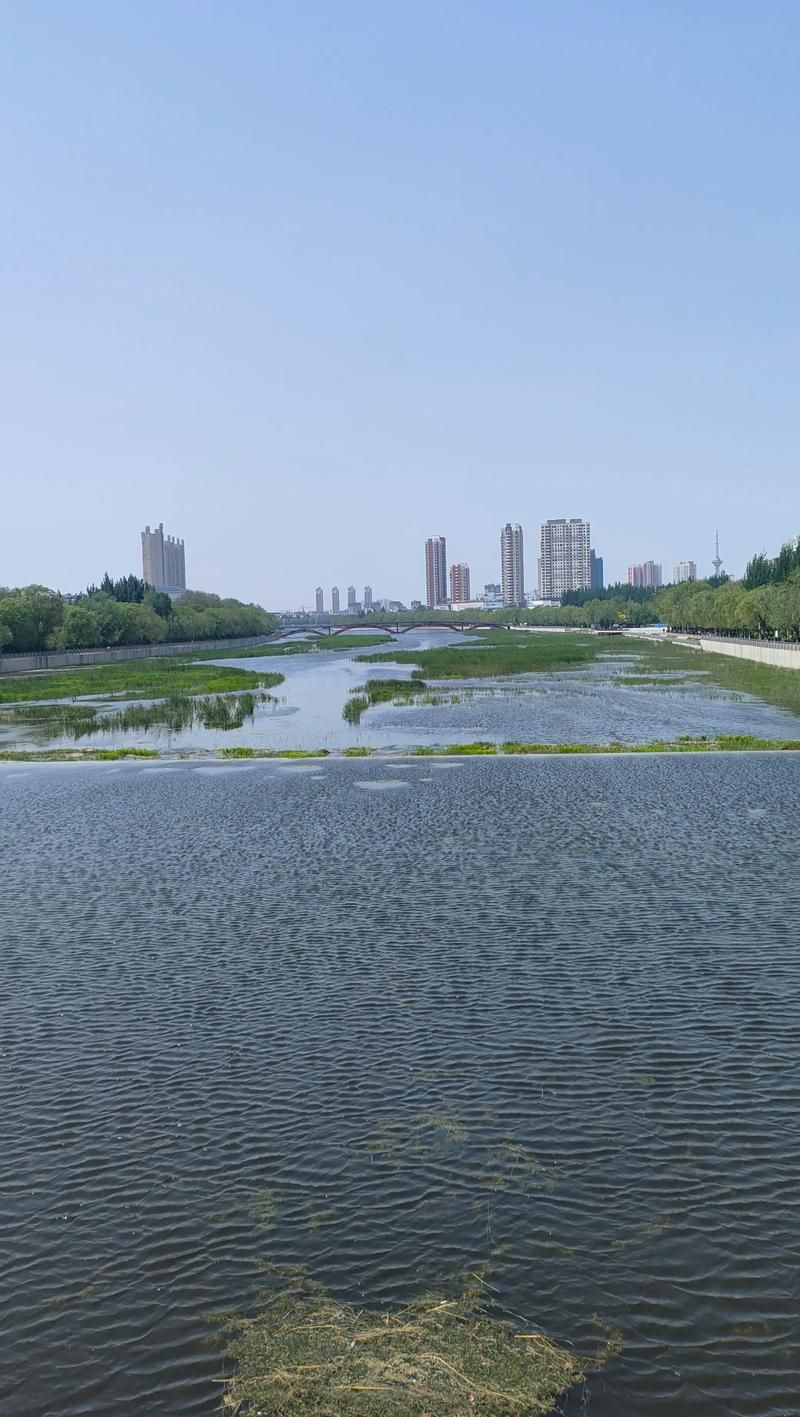 细河公园