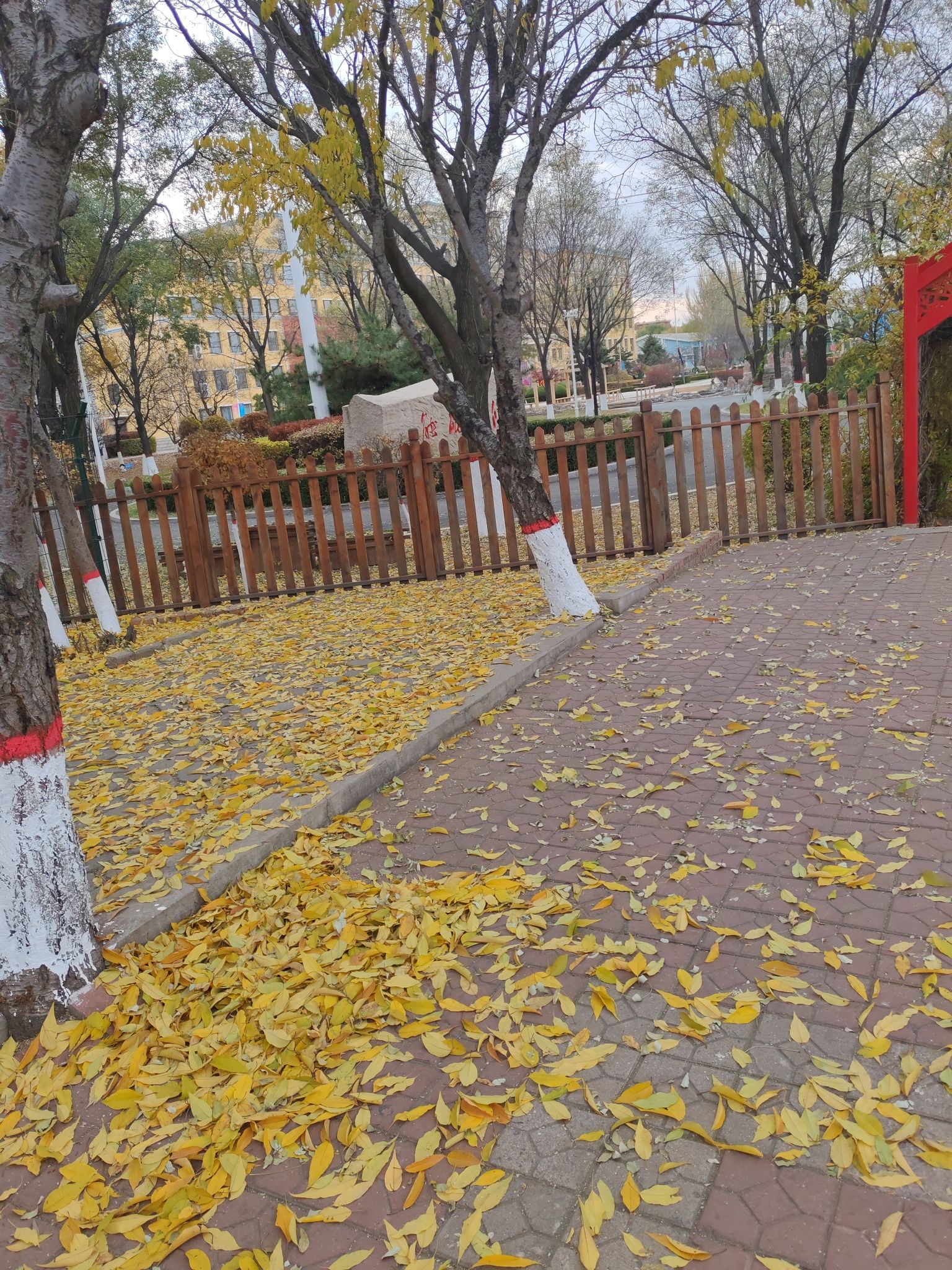 细河公园