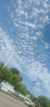 月亮湾森林公园旅行图片 3