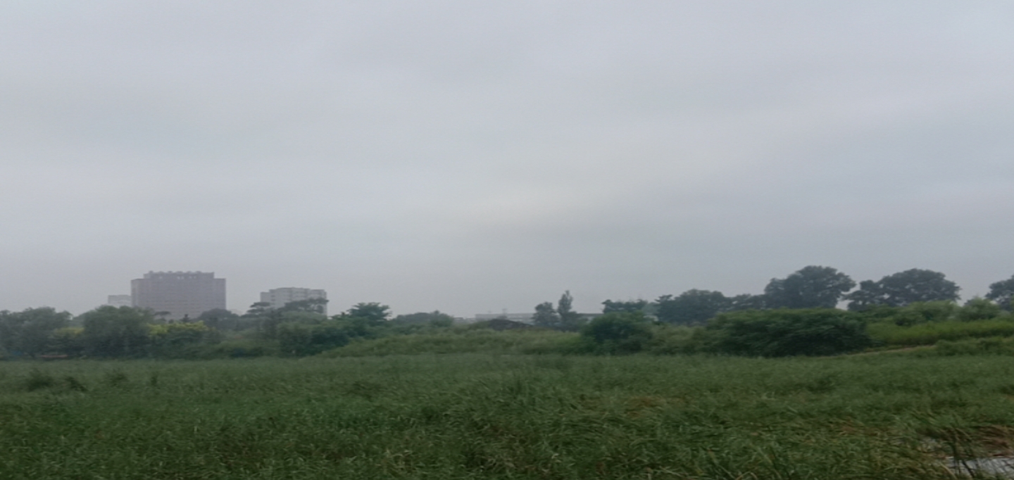 月亮湾森林公园旅行图片 1