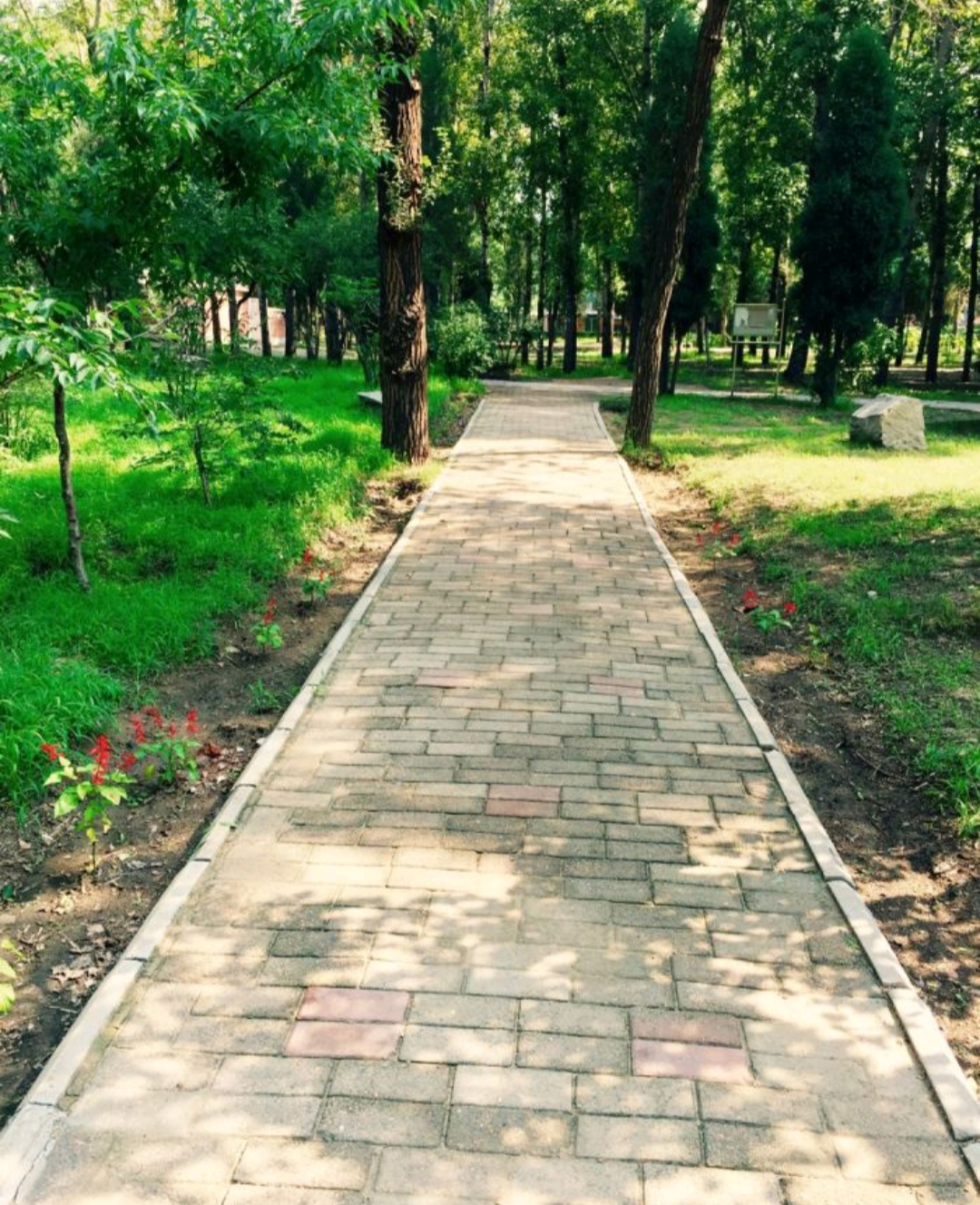 月亮湾森林公园旅行图片 2