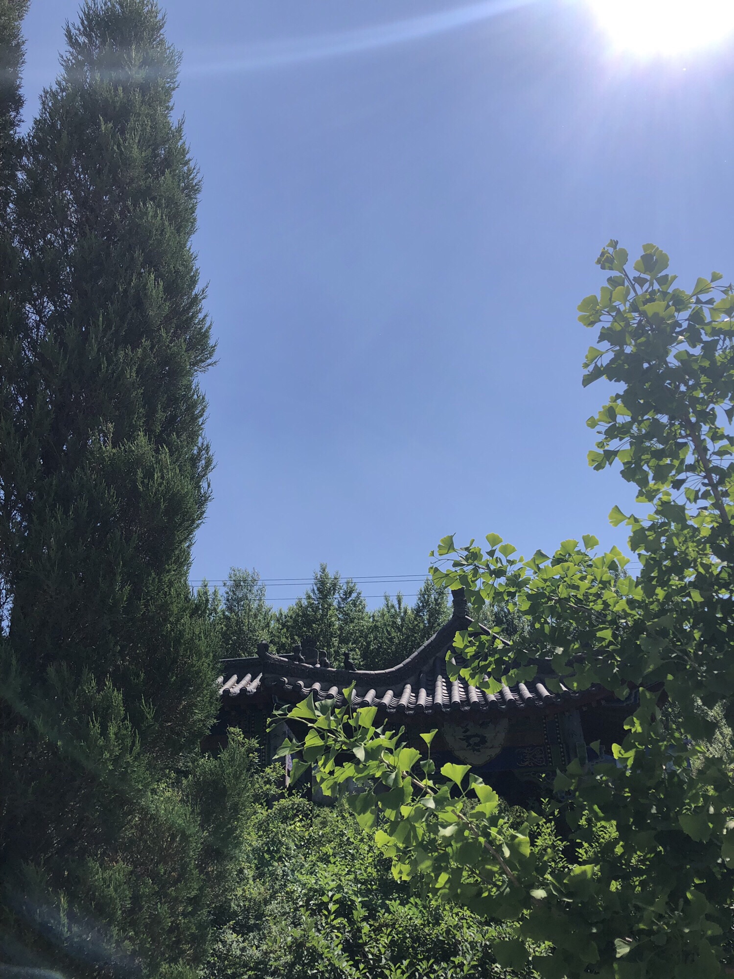 塔山风景区旅行图片 2