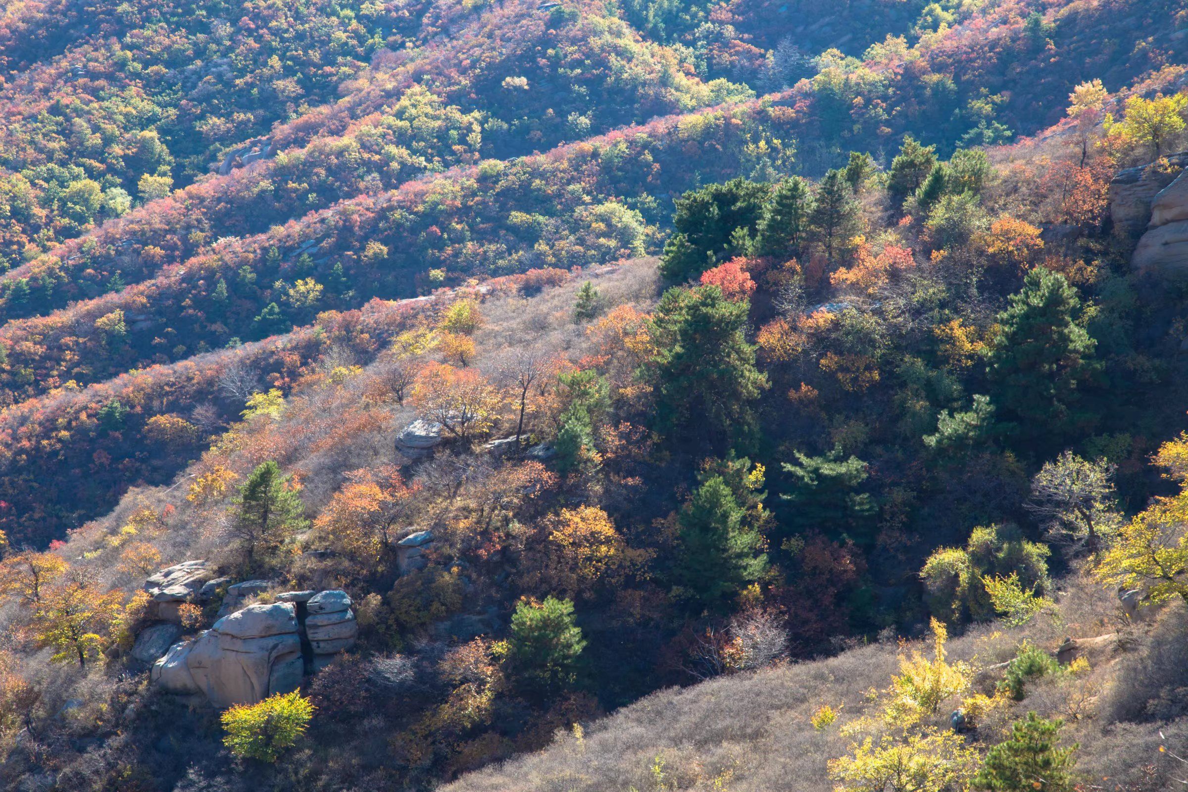 三塔沟自然生态风景区(暂停开放)