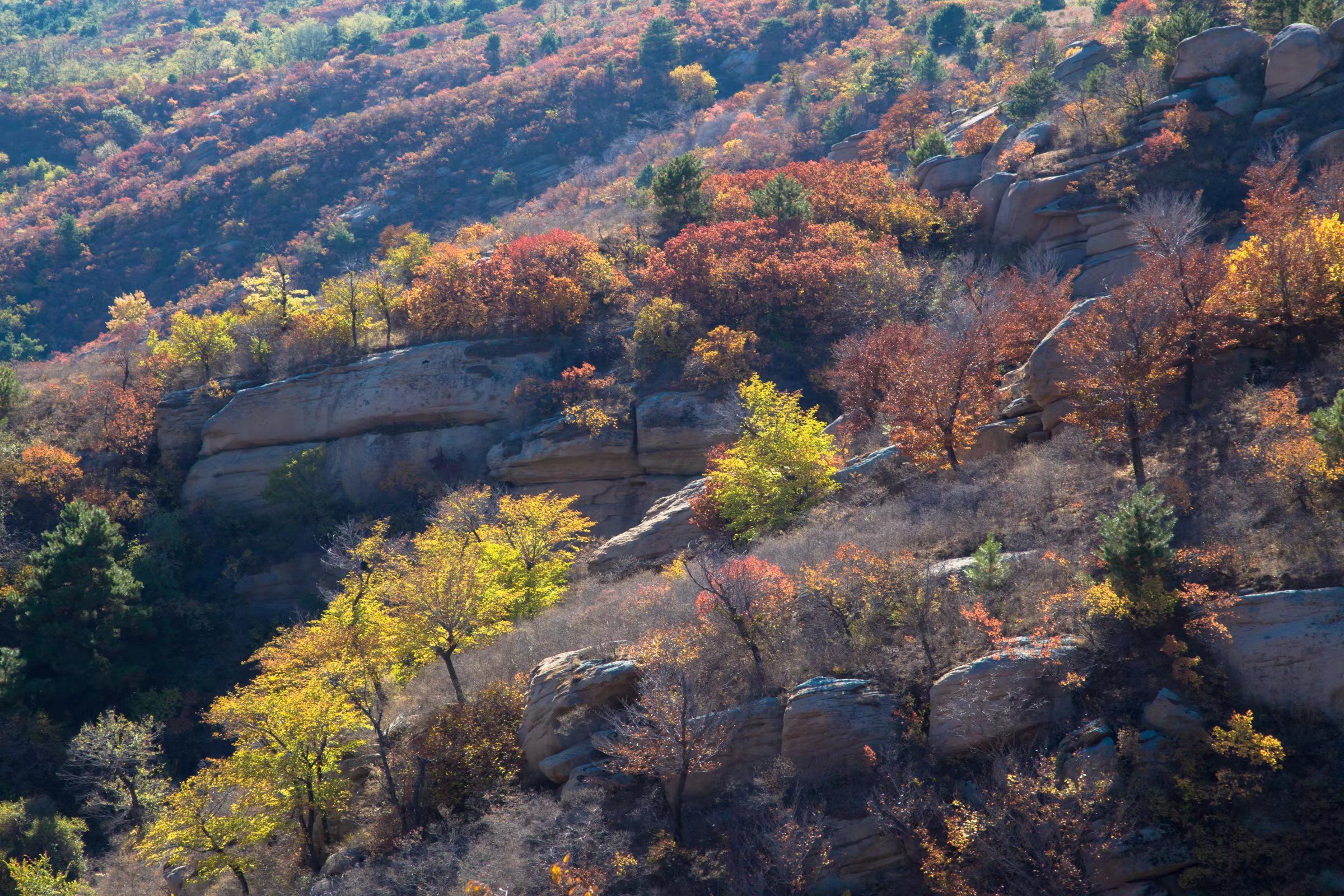 三塔沟自然生态风景区(暂停开放)旅行图片 2