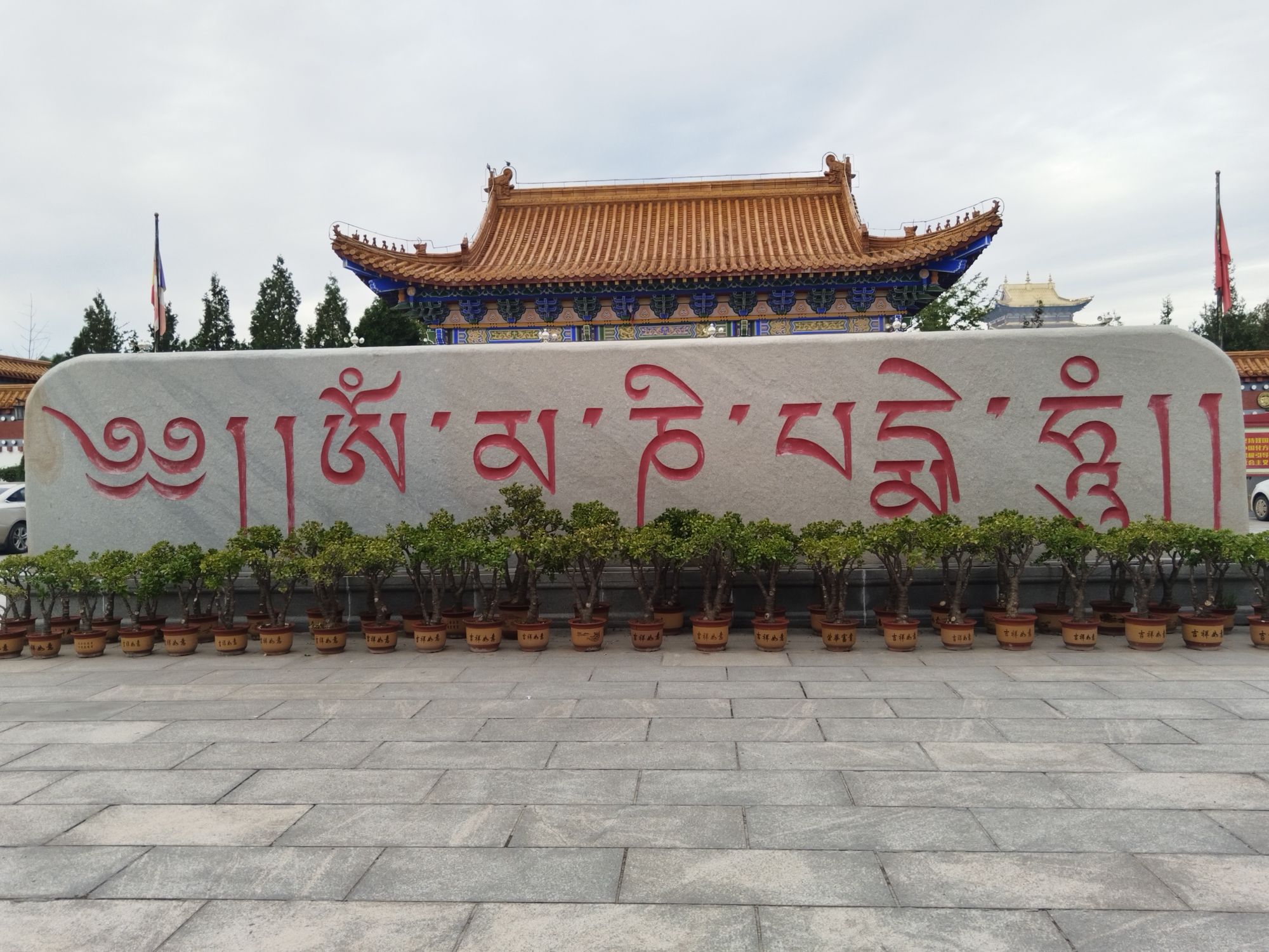 瑞应寺旅行图片 2