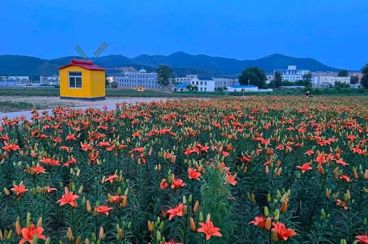 海棠山风景区旅行图片 3
