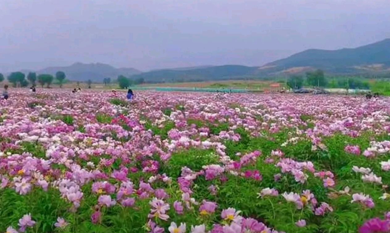 海棠山风景区旅行图片 2